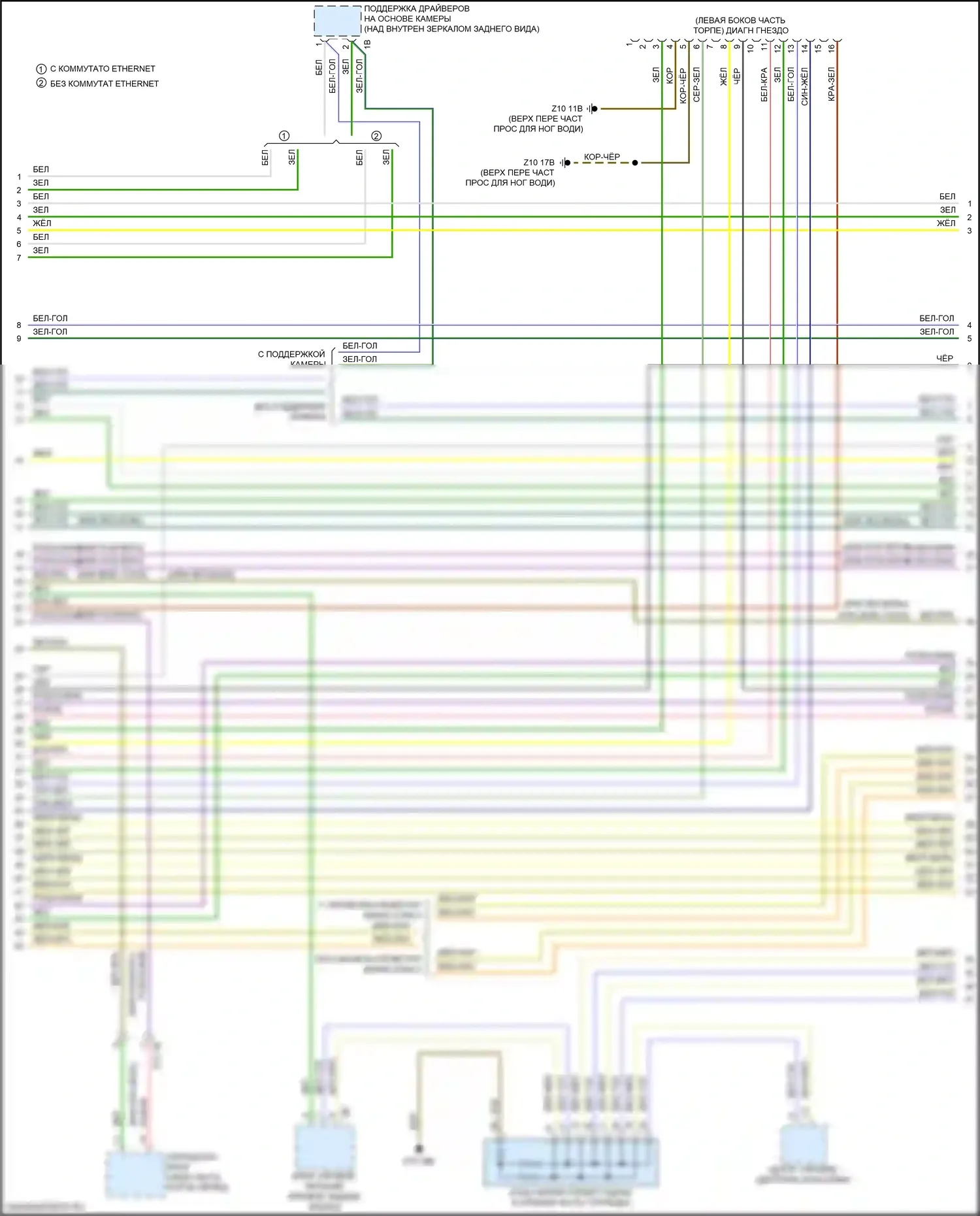 Can шина — Can шина электросхема — Can шина электросхема (2 из 9). BMW X4 M F98 рестайлинг (2021-2024)