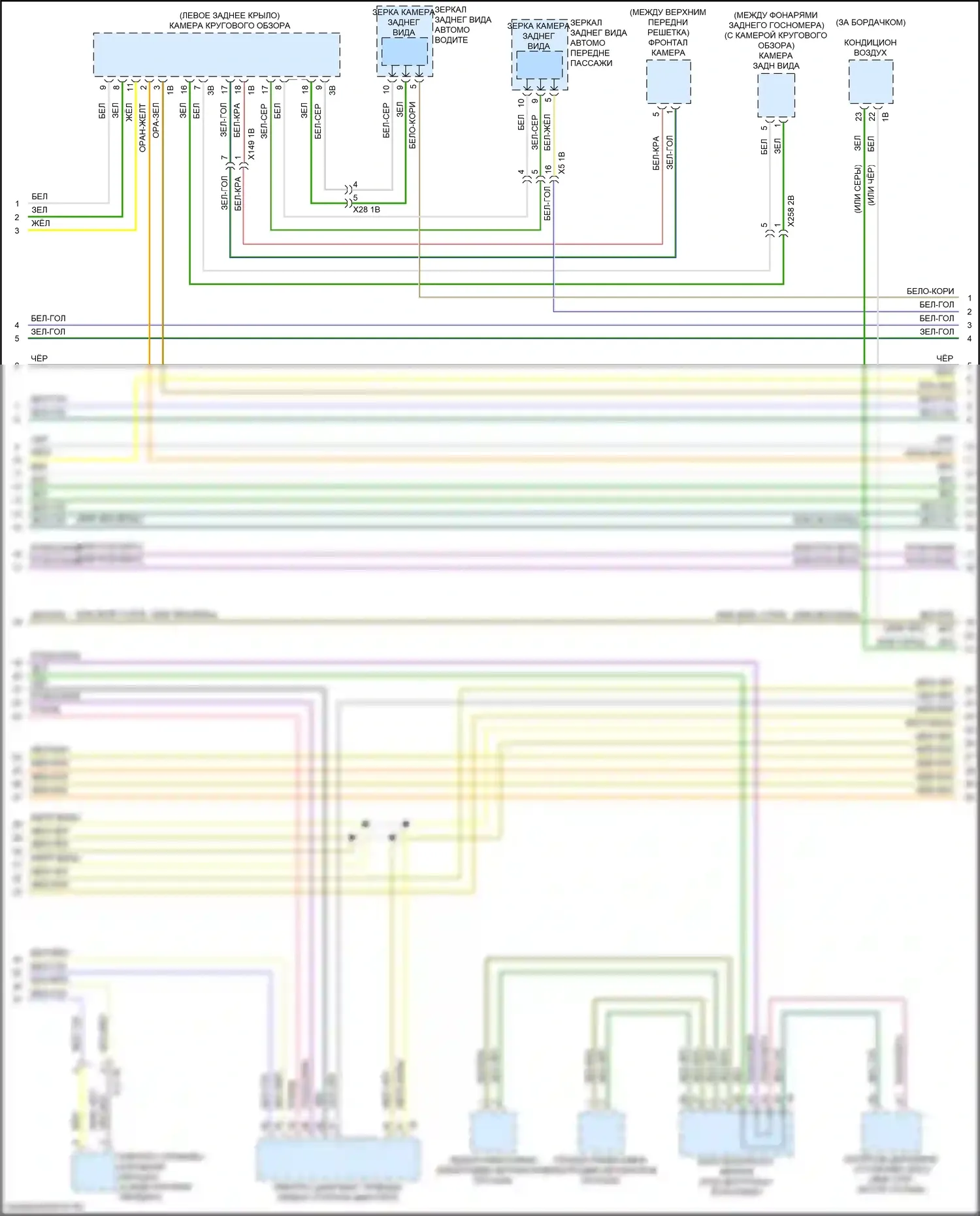 Can шина — Can шина электросхема — Can шина электросхема (3 из 9). BMW X4 M F98 рестайлинг (2021-2024)