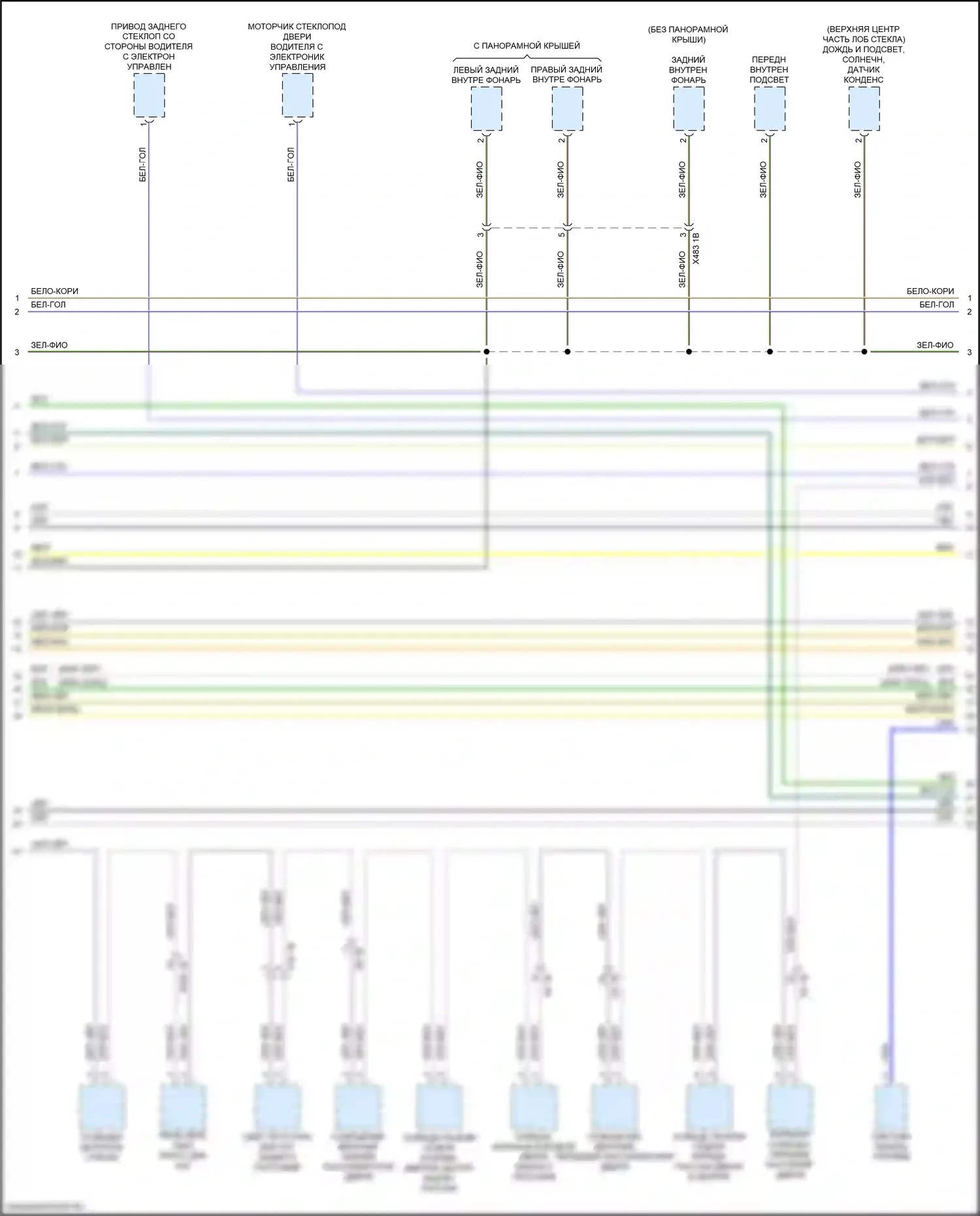 Can шина — Can шина электросхема — Can шина электросхема (8 из 9). BMW X4 M F98 рестайлинг (2021-2024)