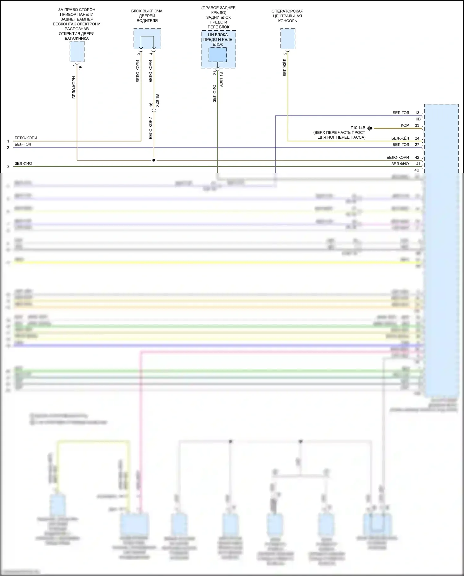 Can шина — Can шина электросхема — Can шина электросхема (9 из 9). BMW X4 M F98 рестайлинг (2021-2024)
