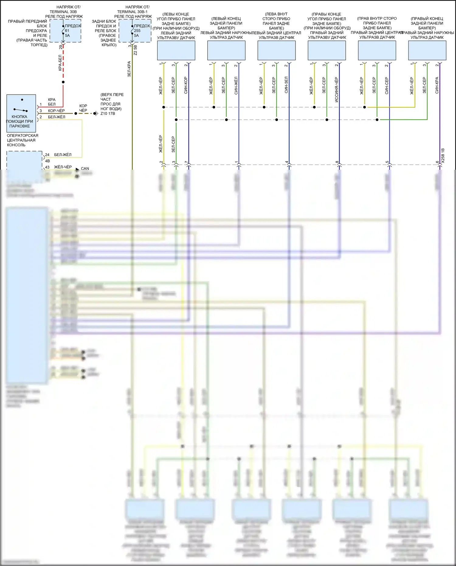 Системы помощи водителю — Электросхема парктроника — Электросхема парктроника. BMW X4 M F98 рестайлинг (2021-2024)