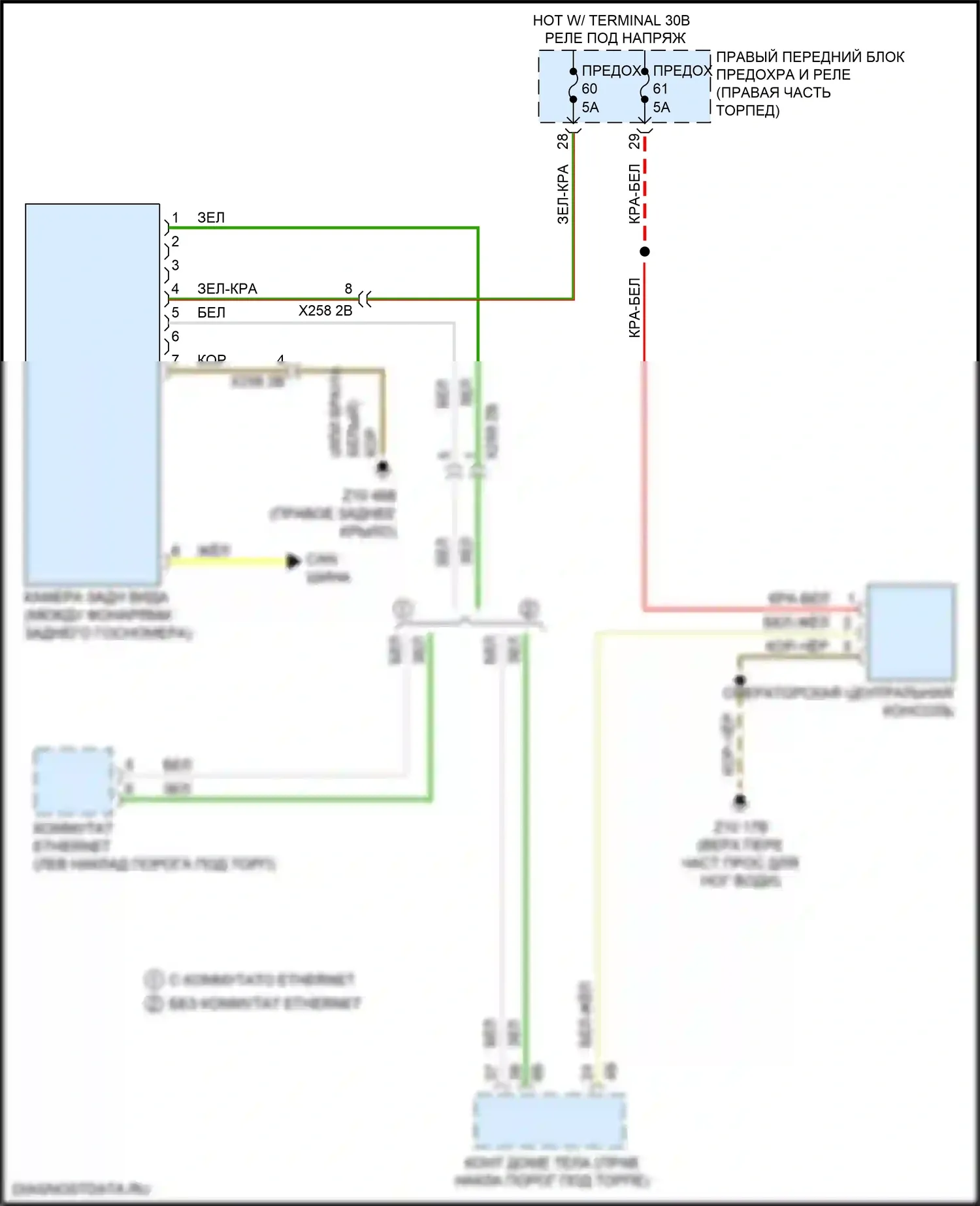 Системы помощи водителю — Электросхема задней камеры — Электросхема задней камеры. BMW X4 M F98 рестайлинг (2021-2024)