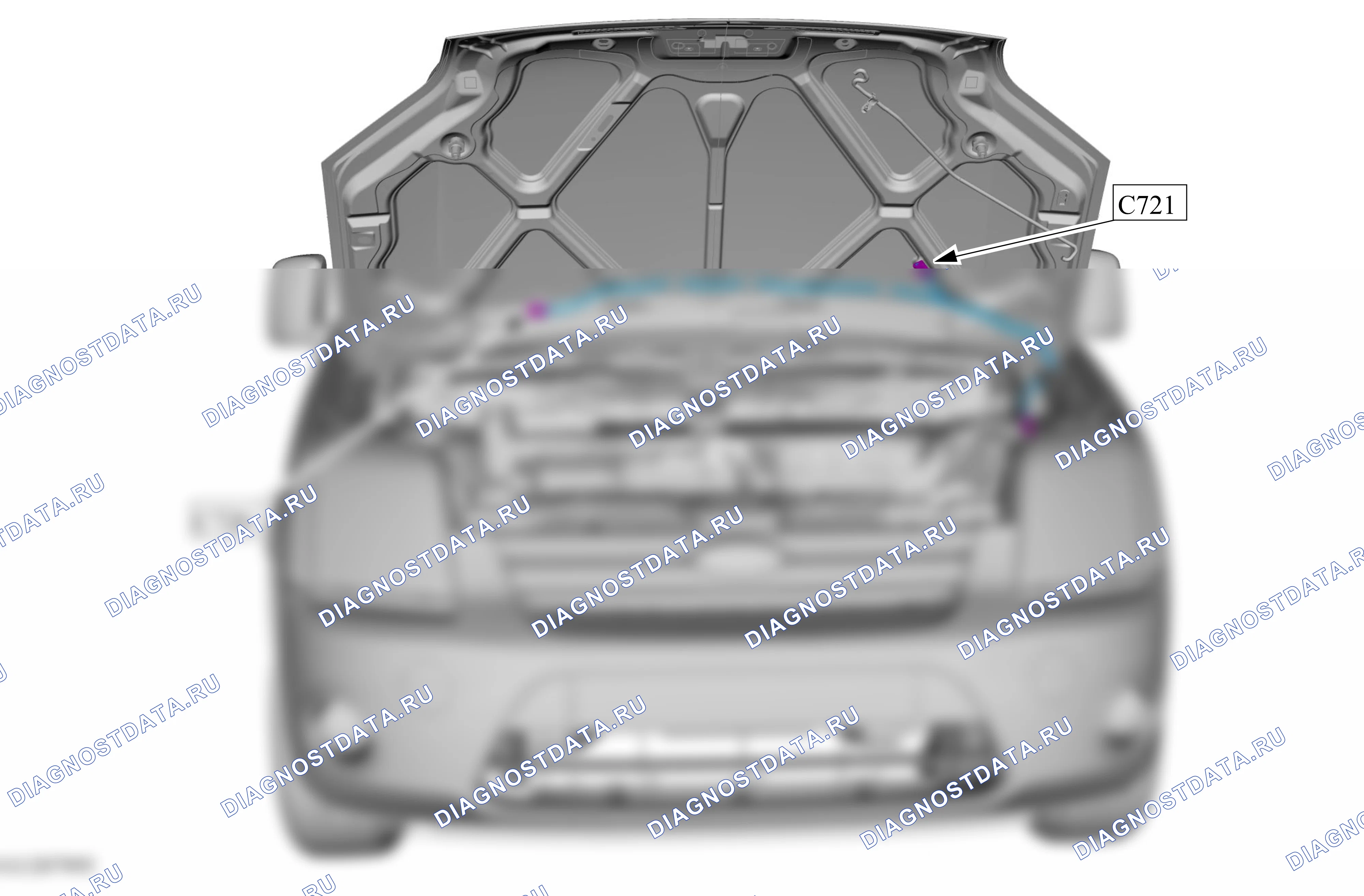 Расположение компонентов — Карта — Капот — Карта — Капот. Ford Tourneo Connect I (2002-2009)
