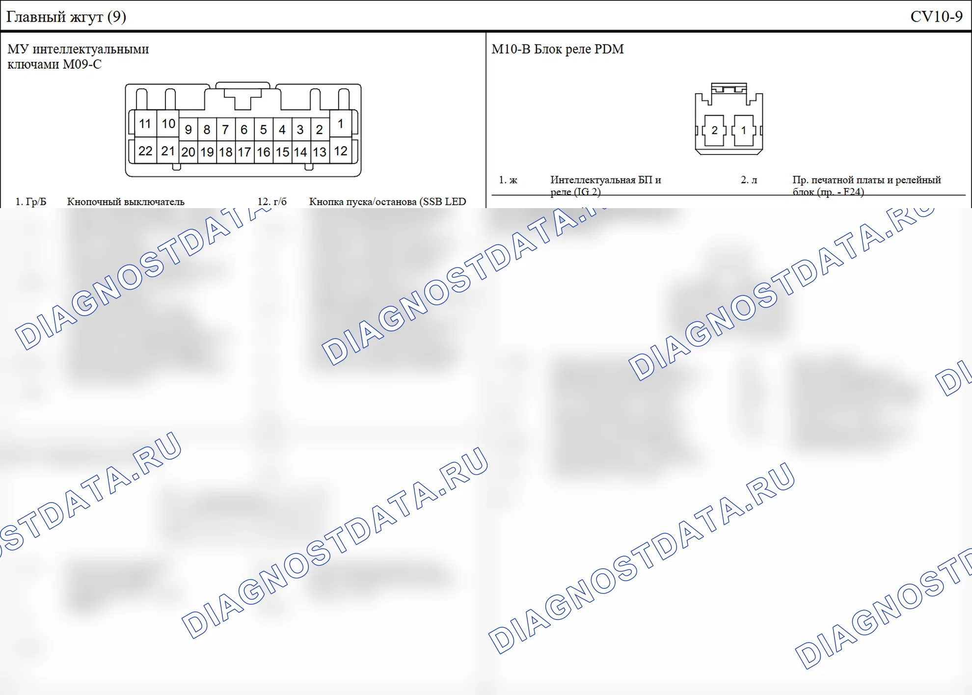 Основной жгут проводов — Электросхема основного жгут проводов — Электросхема основного жгут проводов, Схема 36 из 64. Hyundai GRAND i10/Xcent BA (2014-2017)