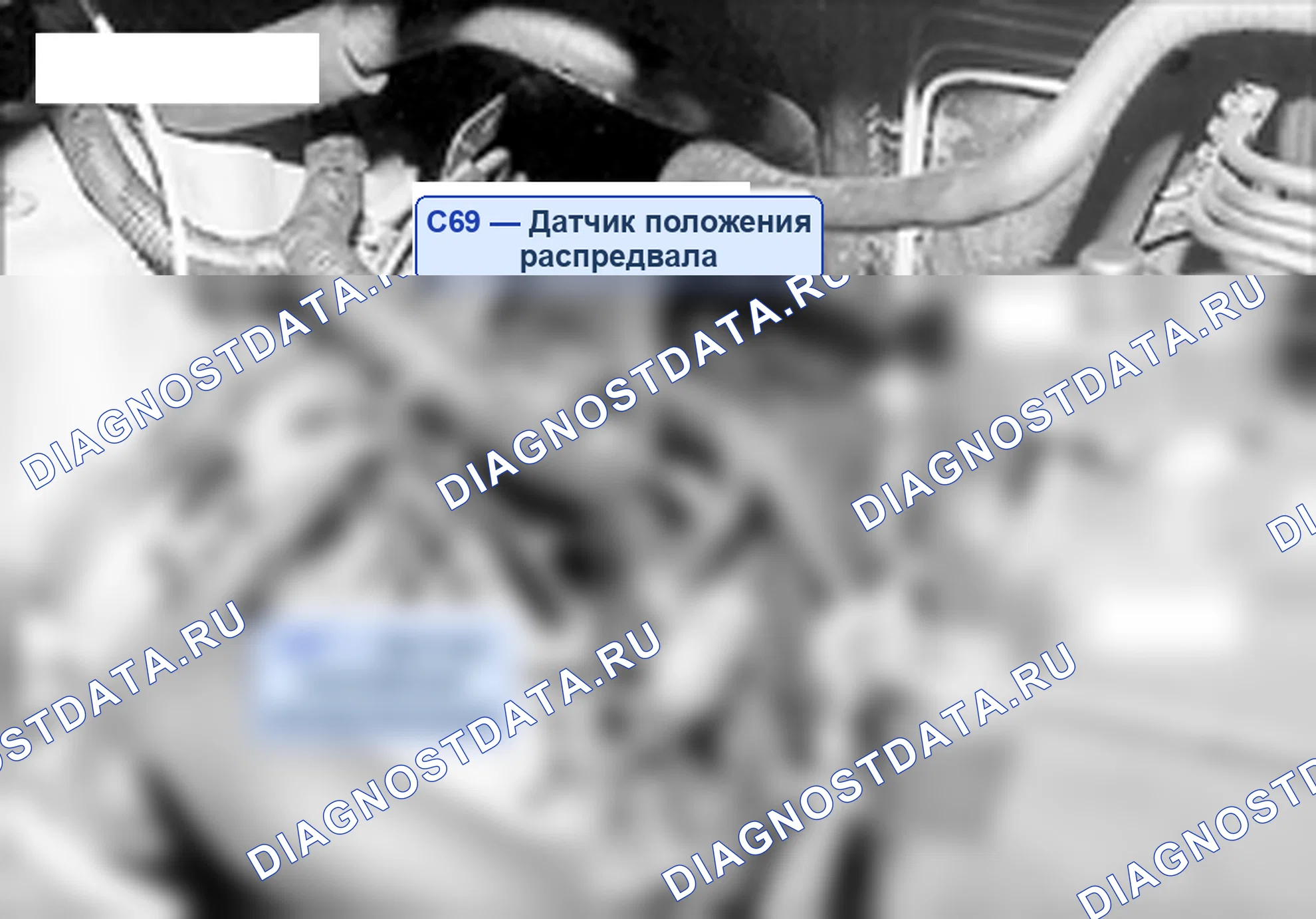 Расположение модулей и компонентов — Расположение компонентов жгута управления, Схема 76 — Расположение компонентов жгута управления, Схема 76. Hyundai H-1 A1 (1997-2009)