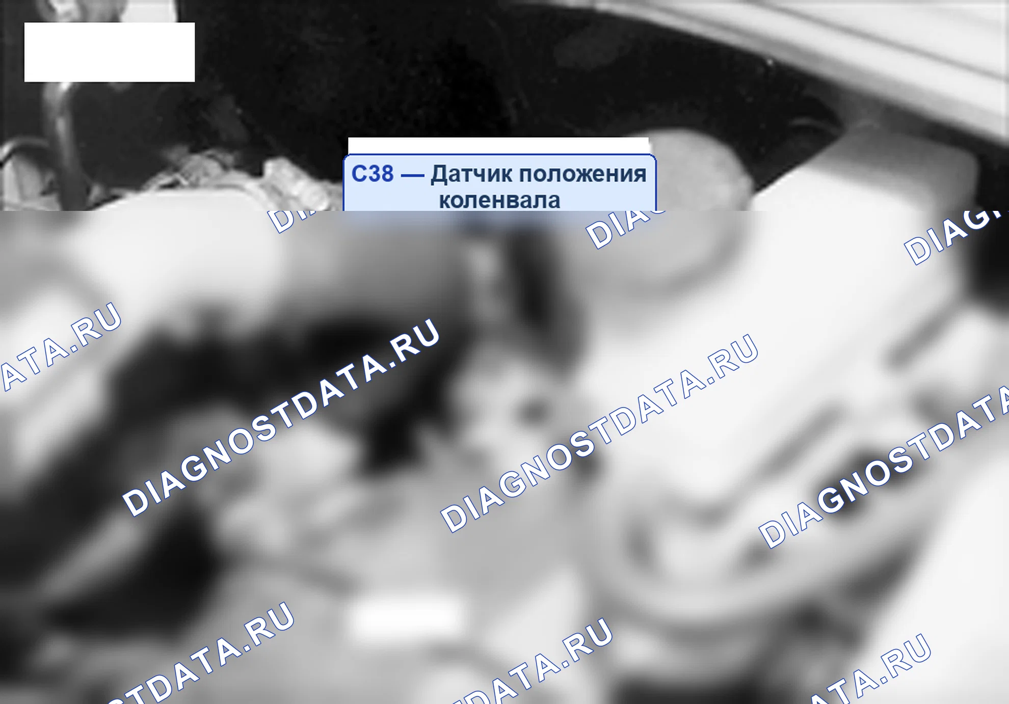 Расположение модулей и компонентов — Расположение компонентов жгута управления, Схема 65 — Расположение компонентов жгута управления, Схема 65. Hyundai H-1 A1 (1997-2009)