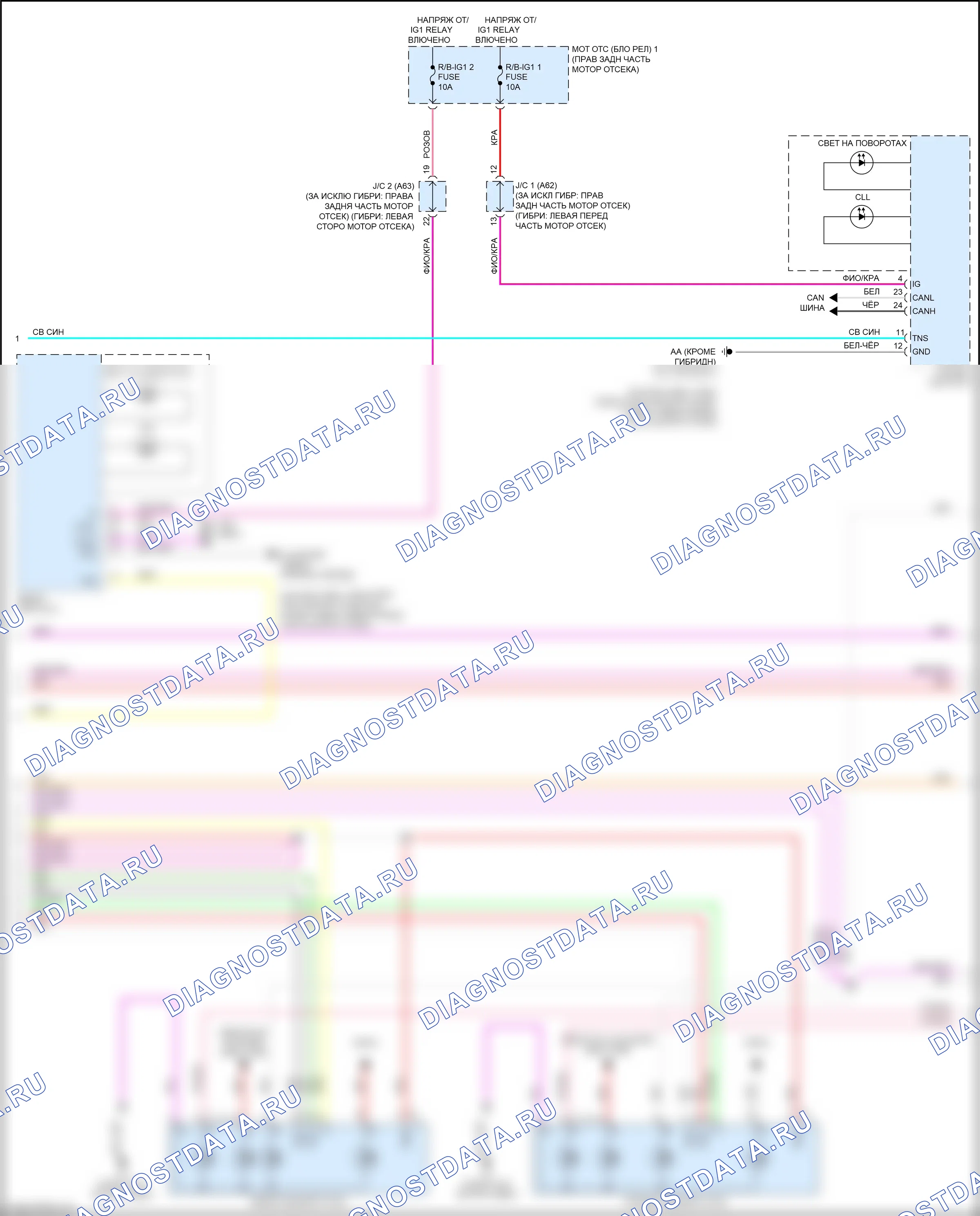 Фары и фонари — Электросхема фар и фонарей — Электросхема фар и фонарей (4 из 5). Lexus LS V (2017-2021)
