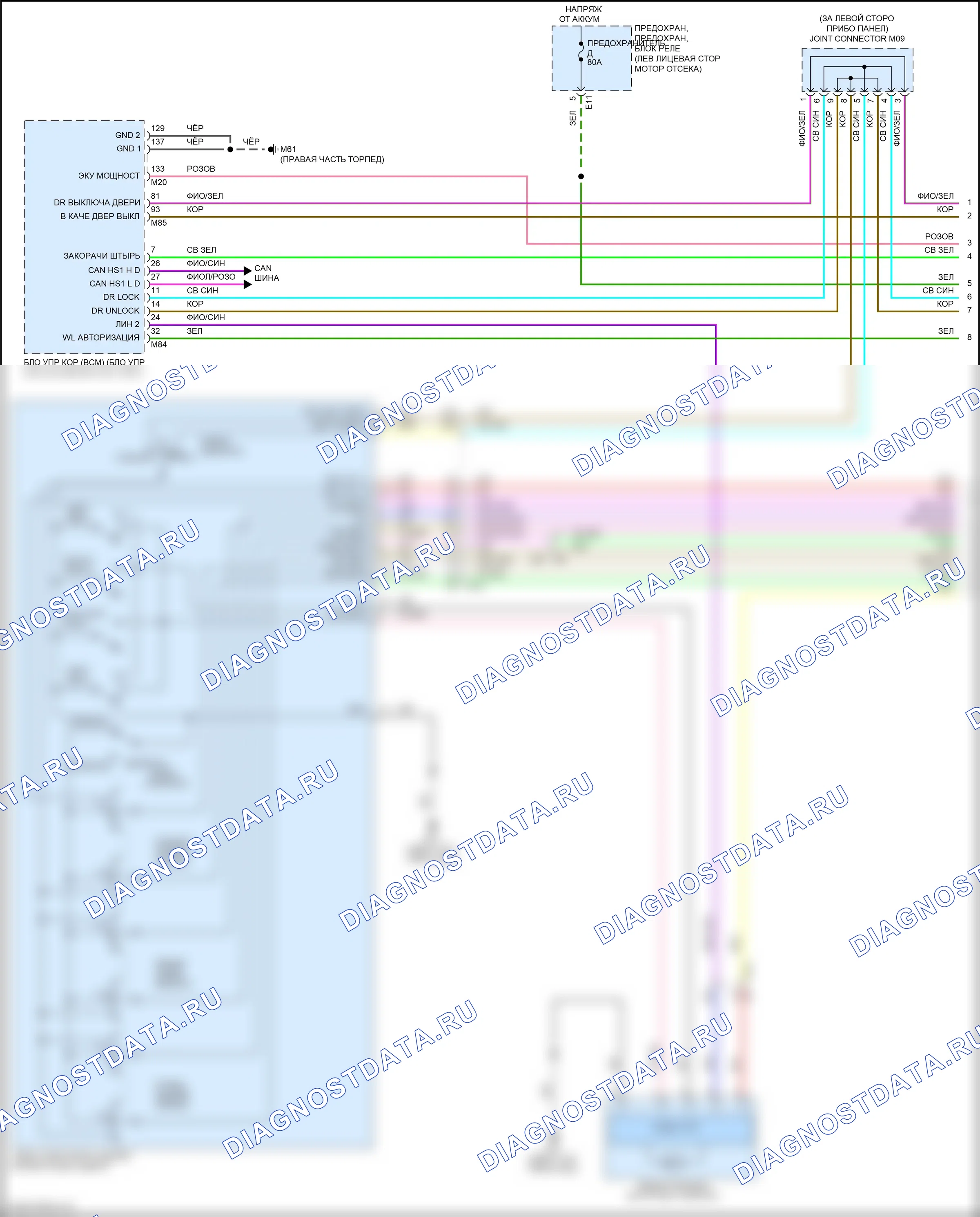 Стеклоподъемники — Электросхема стеклоподъемников — Электросхема стеклоподъемников (1 из 2). Nissan Sentra B18 (2019-2024)