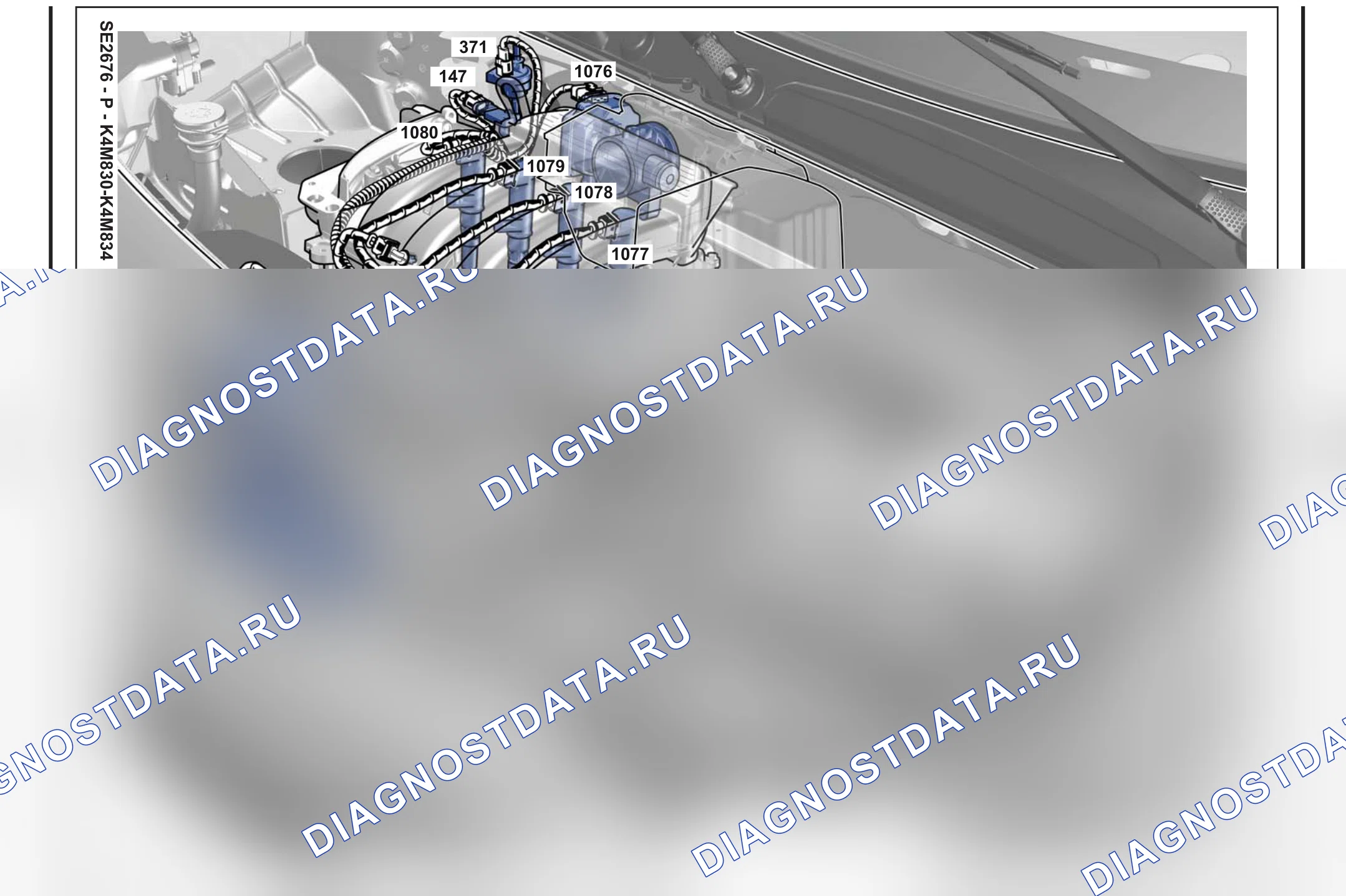 Расположение компонентов — Расположение компонентов: лист S31 — Расположение компонентов: лист S31. Renault Kangoo II-BeBop (2009-2013)