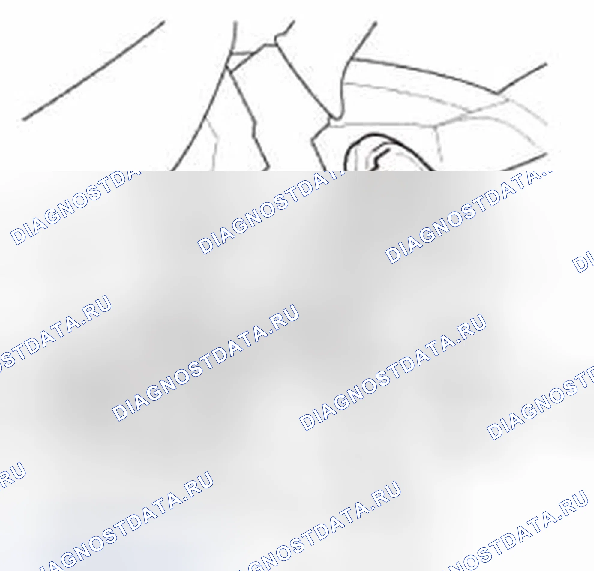Рис. 281. Honda CR-V IV
