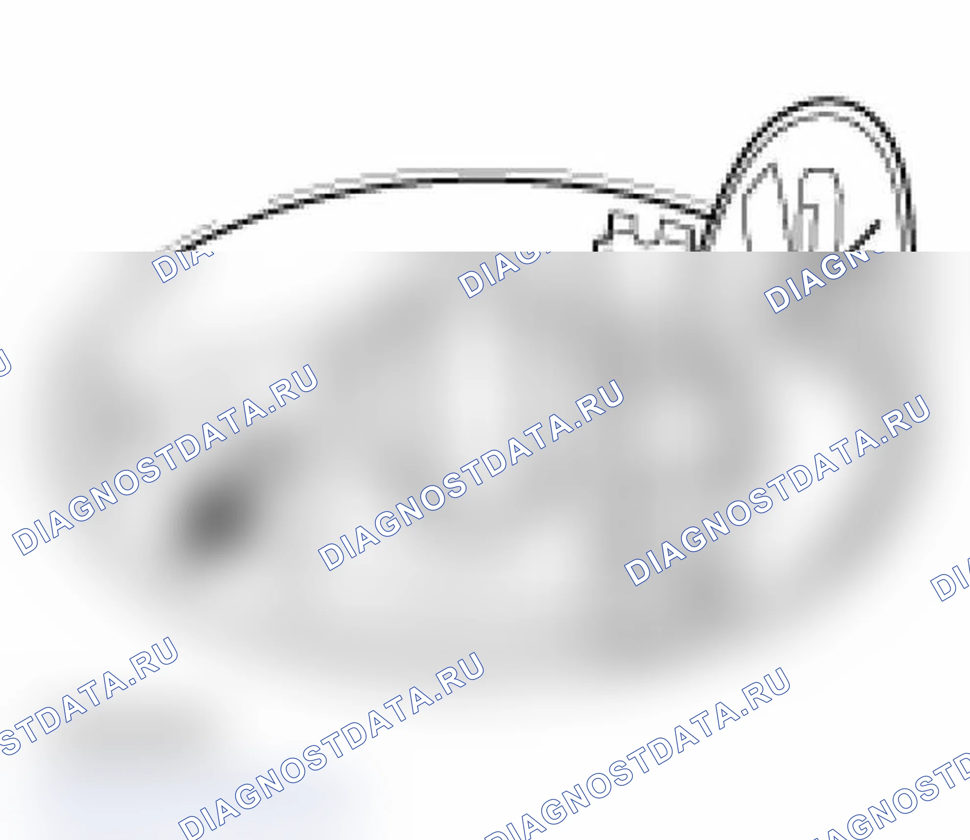 Рис. 33. Porsche 911 GT2 996