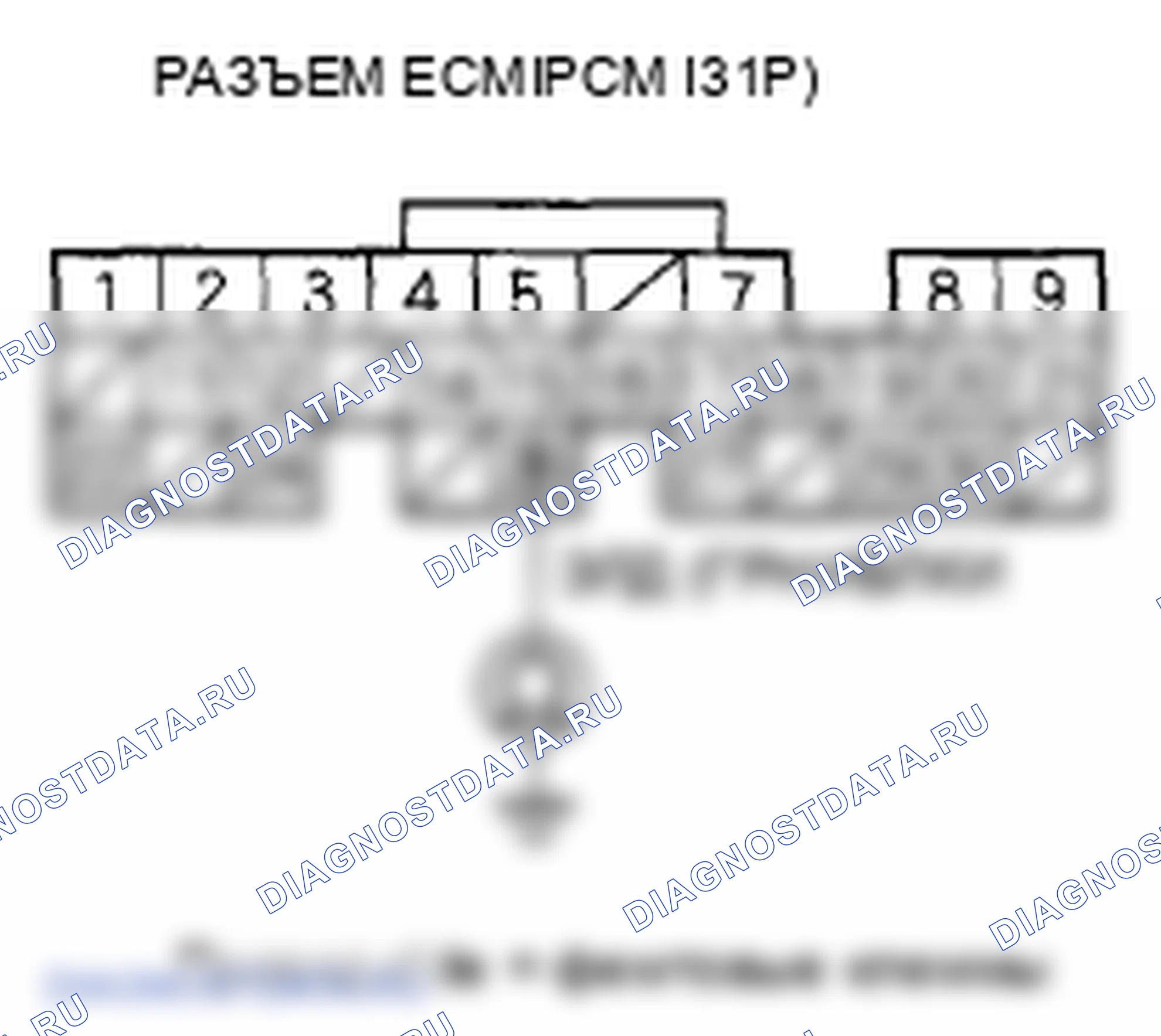 Рис. 489: Низкое напряжение цепи расшифровка кода ошибки P1297: ELD. Honda Element YH2 рестайлинг 2