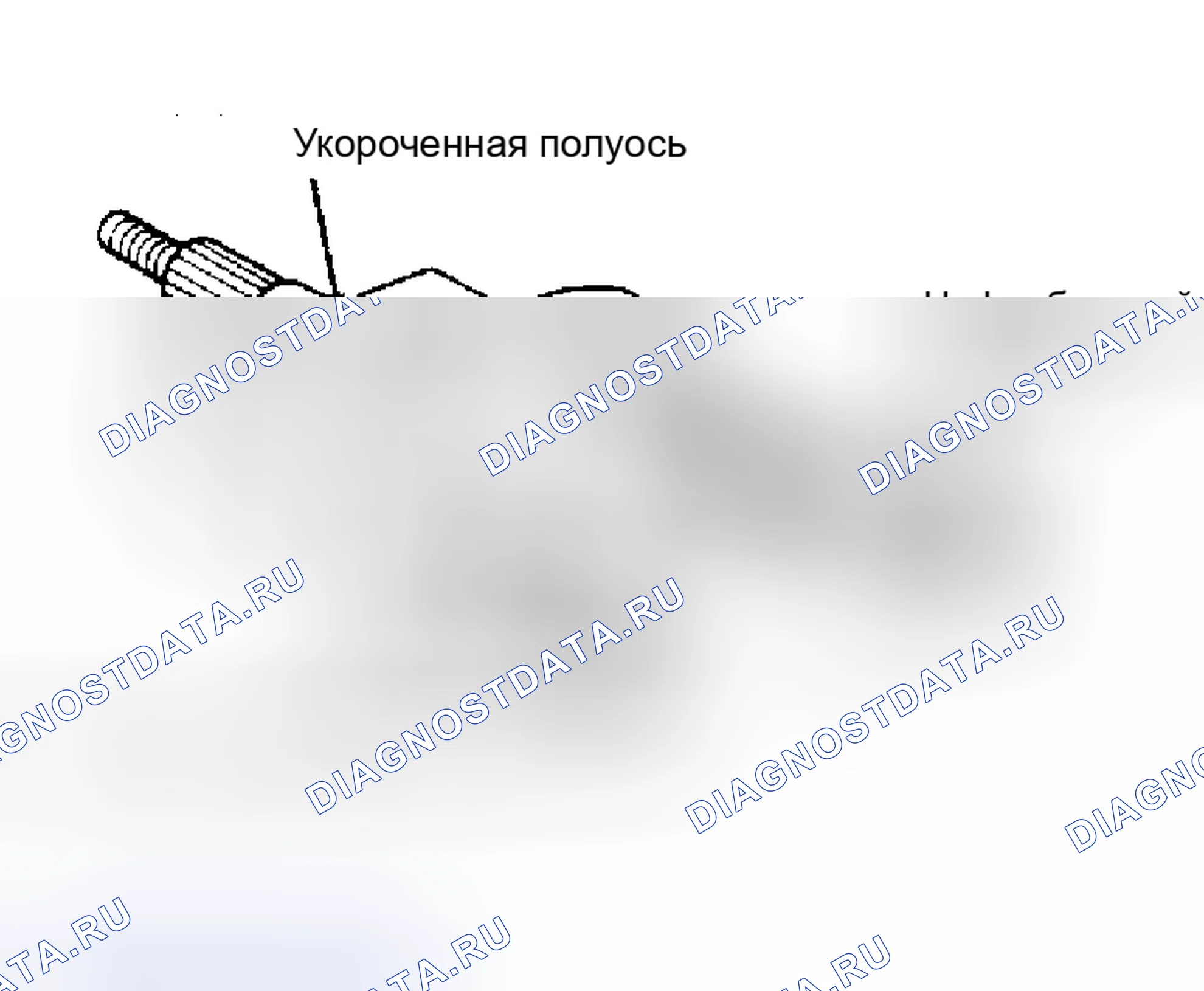 Рис. 10: Инспекция (Крессида). Toyota Camry V20