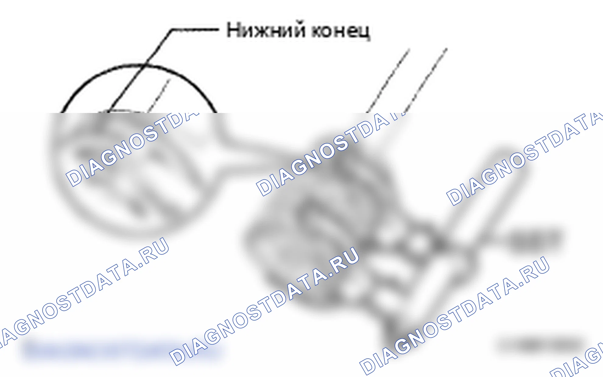Рис. 227. Lexus LS IV
