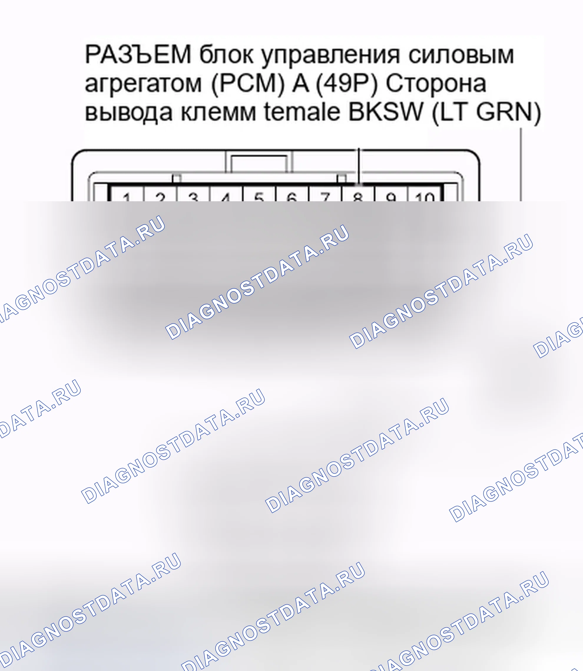 Рис. 36. Honda Crosstour I