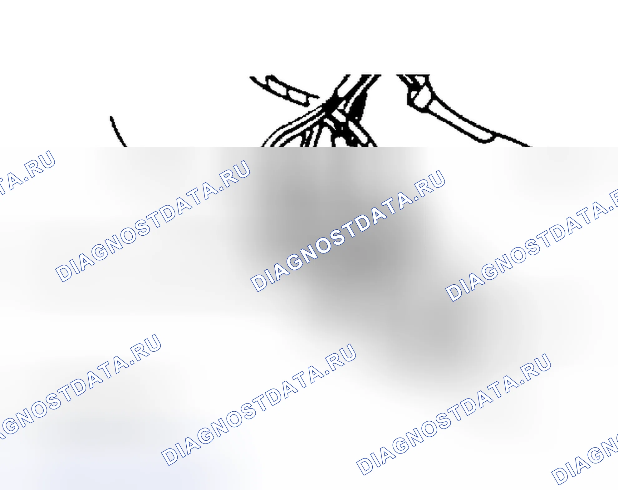 Рис. 5. Kia Rio IV рестайлинг