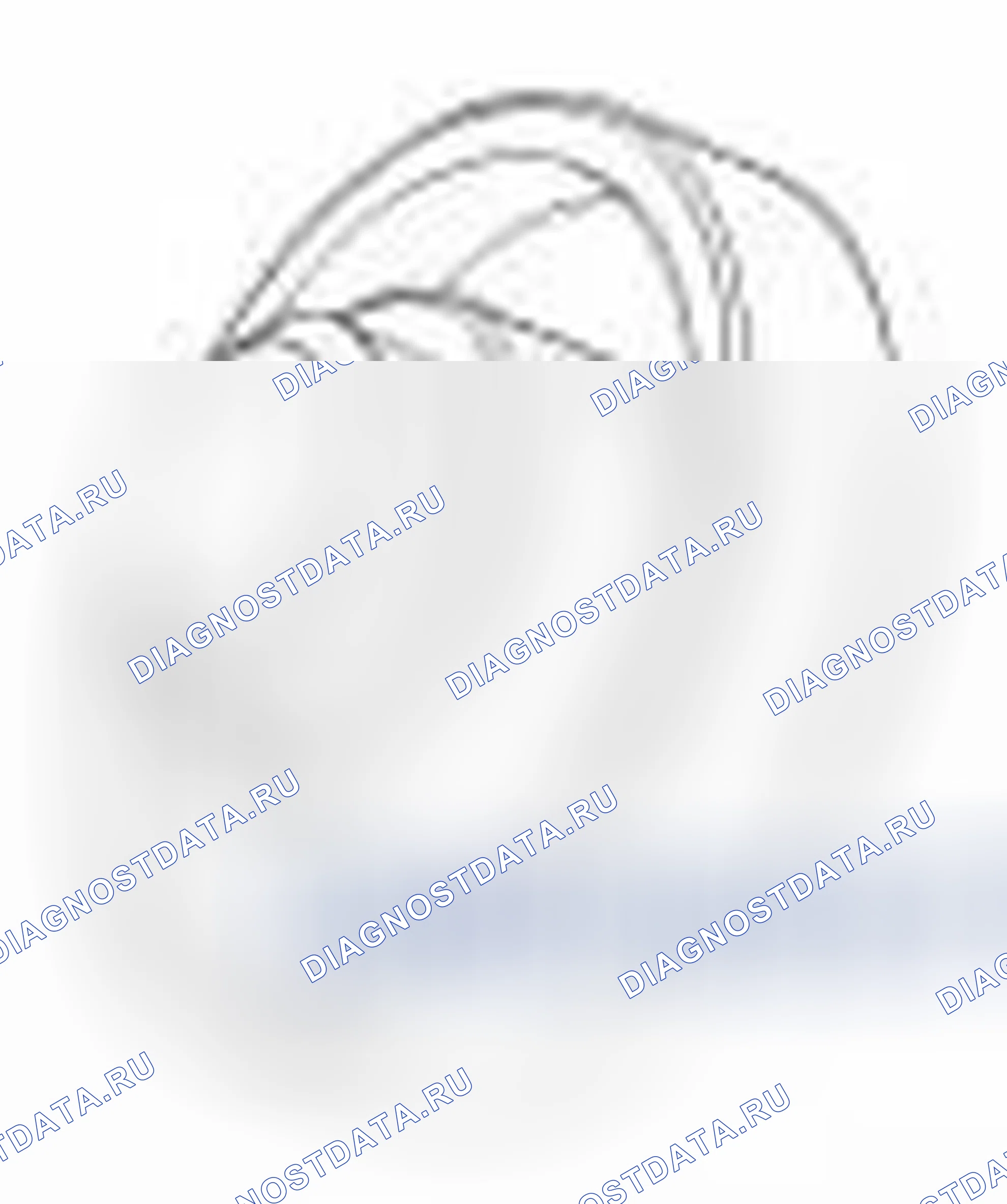 Рис. 5. Hyundai Tucson II