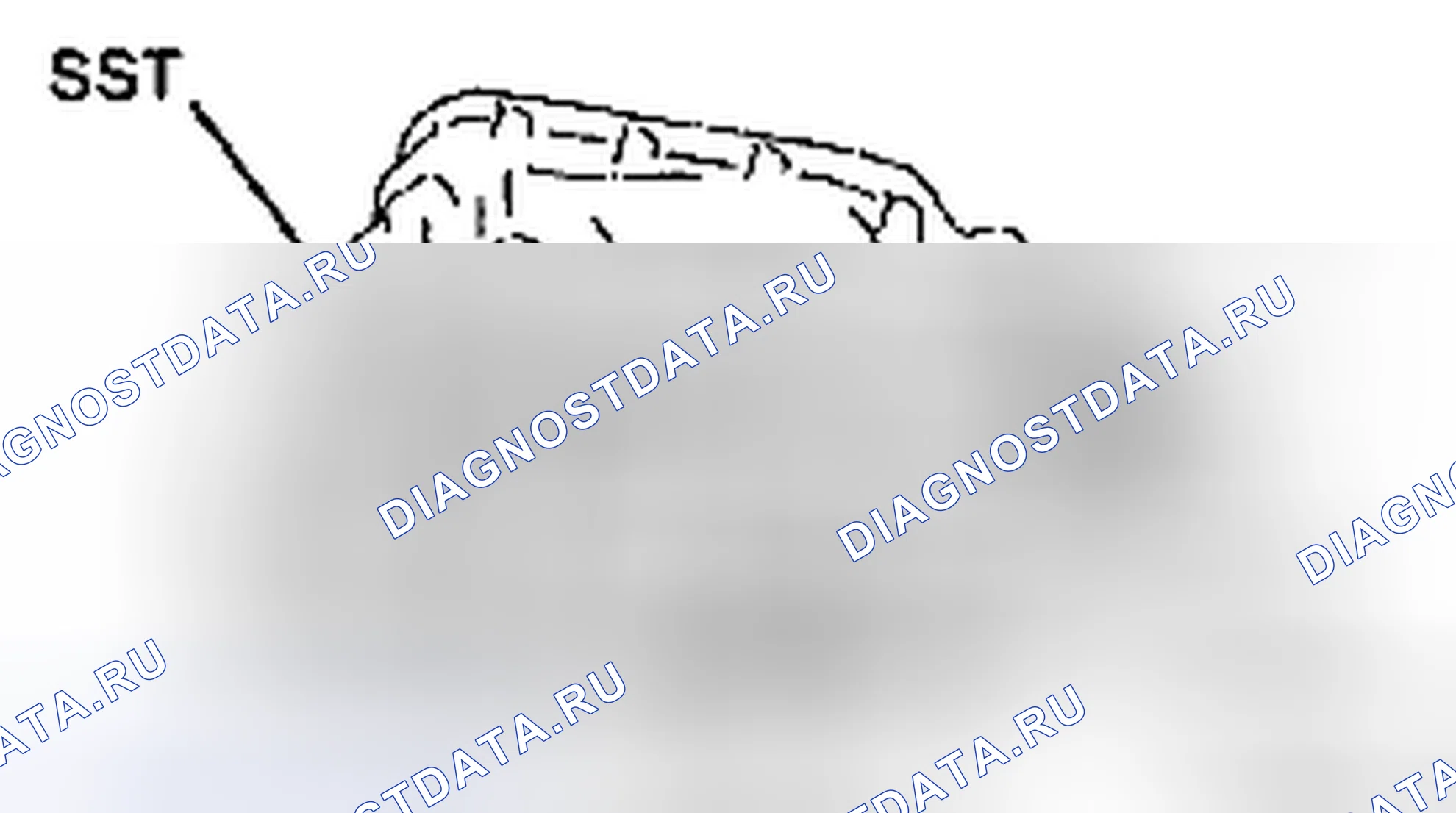Рис. 252. Toyota Yaris II