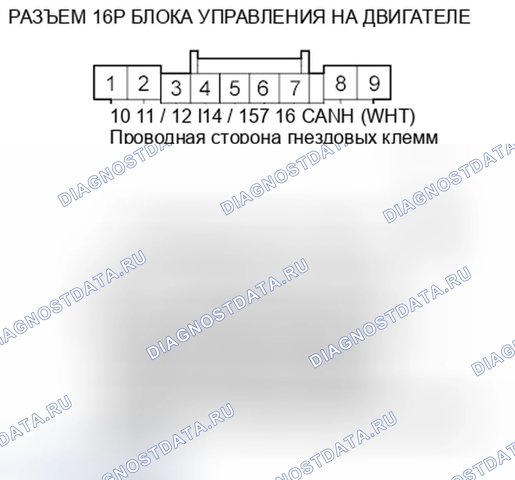 Рис. 158. Honda Odyssey IV