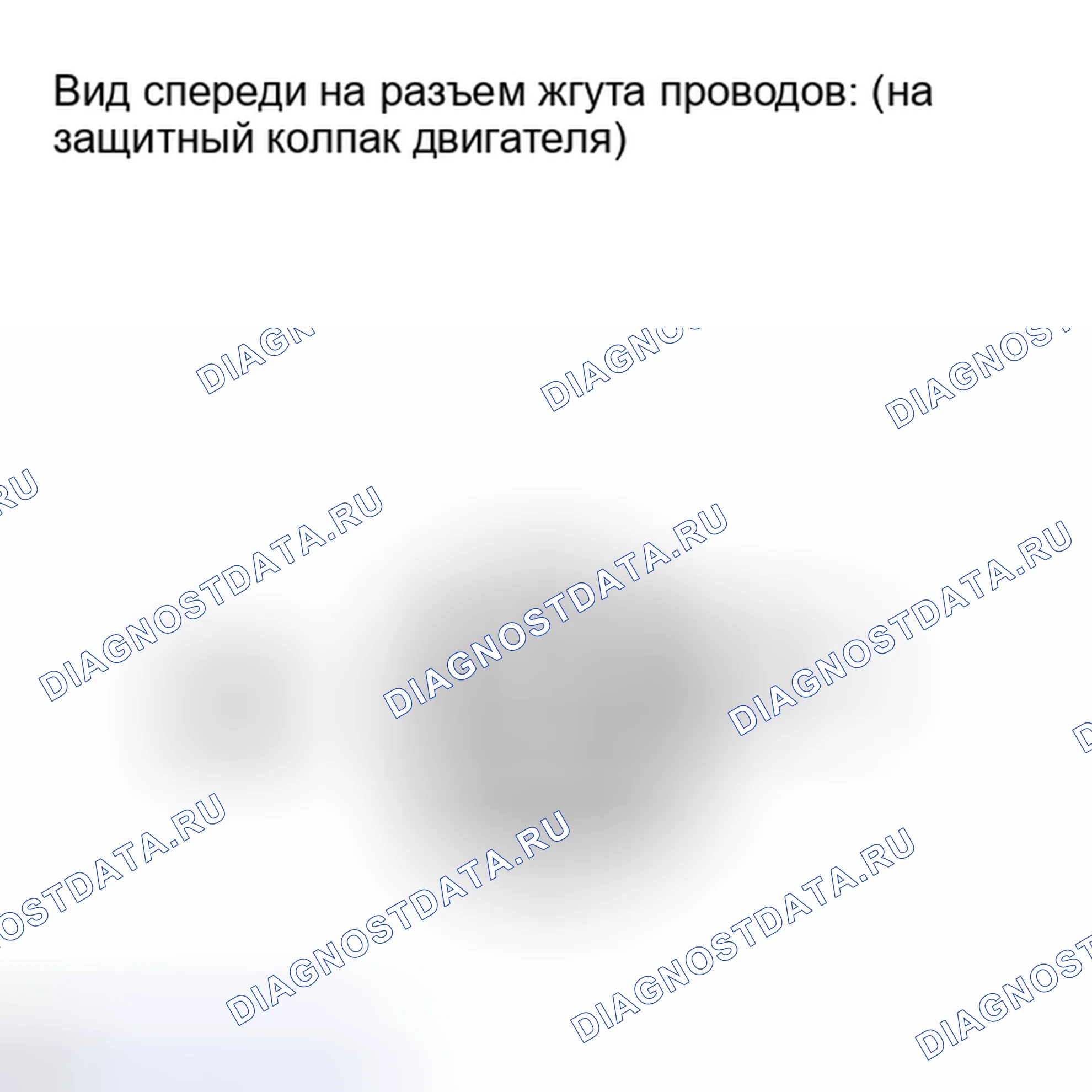 Рис. 315. Lexus IS F I