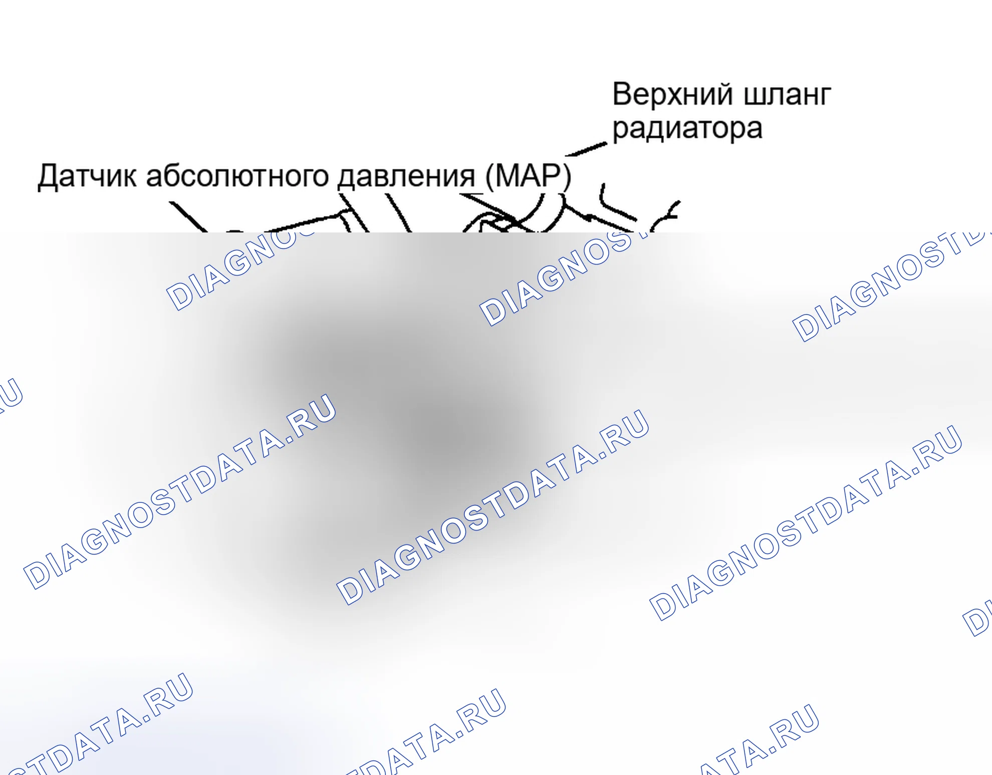 Рис. 10. Toyota 4Runner III