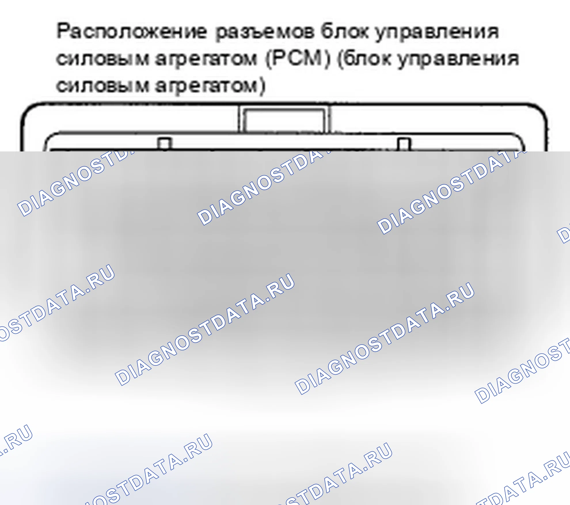 Рис. 263: Входы и выходы ИКМ на разъеме B (44P). Honda Insight ZE2