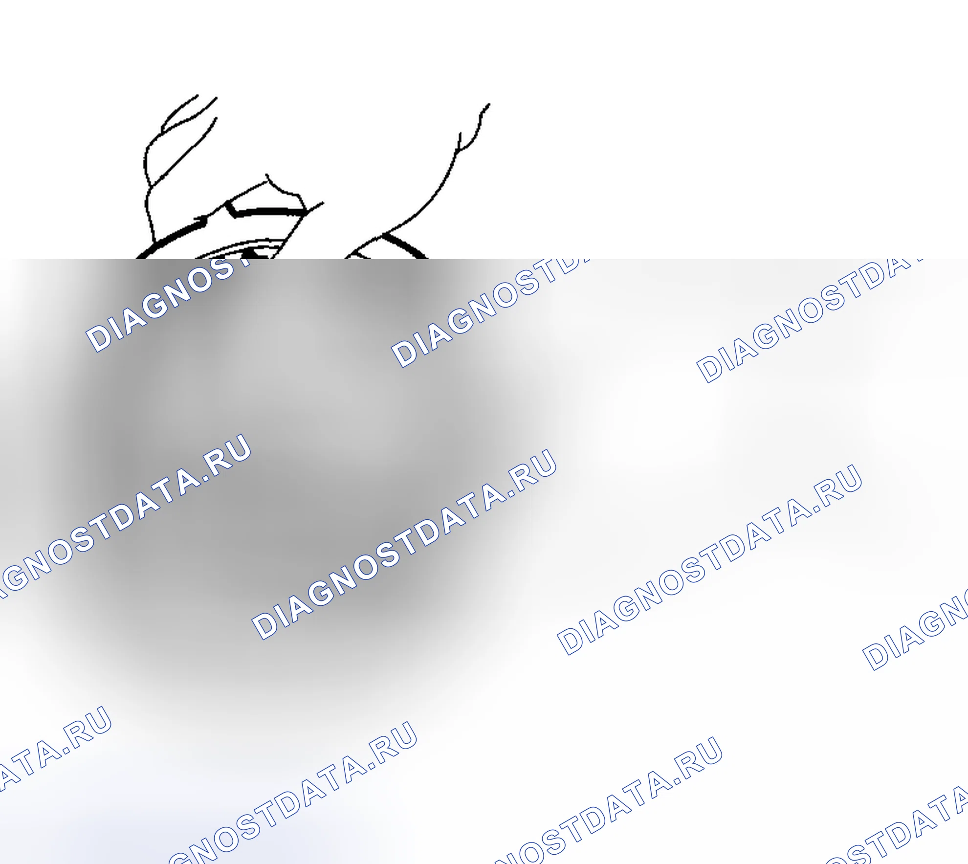 Рис. 353. Subaru Impreza GD/GC/GG рестайлинг