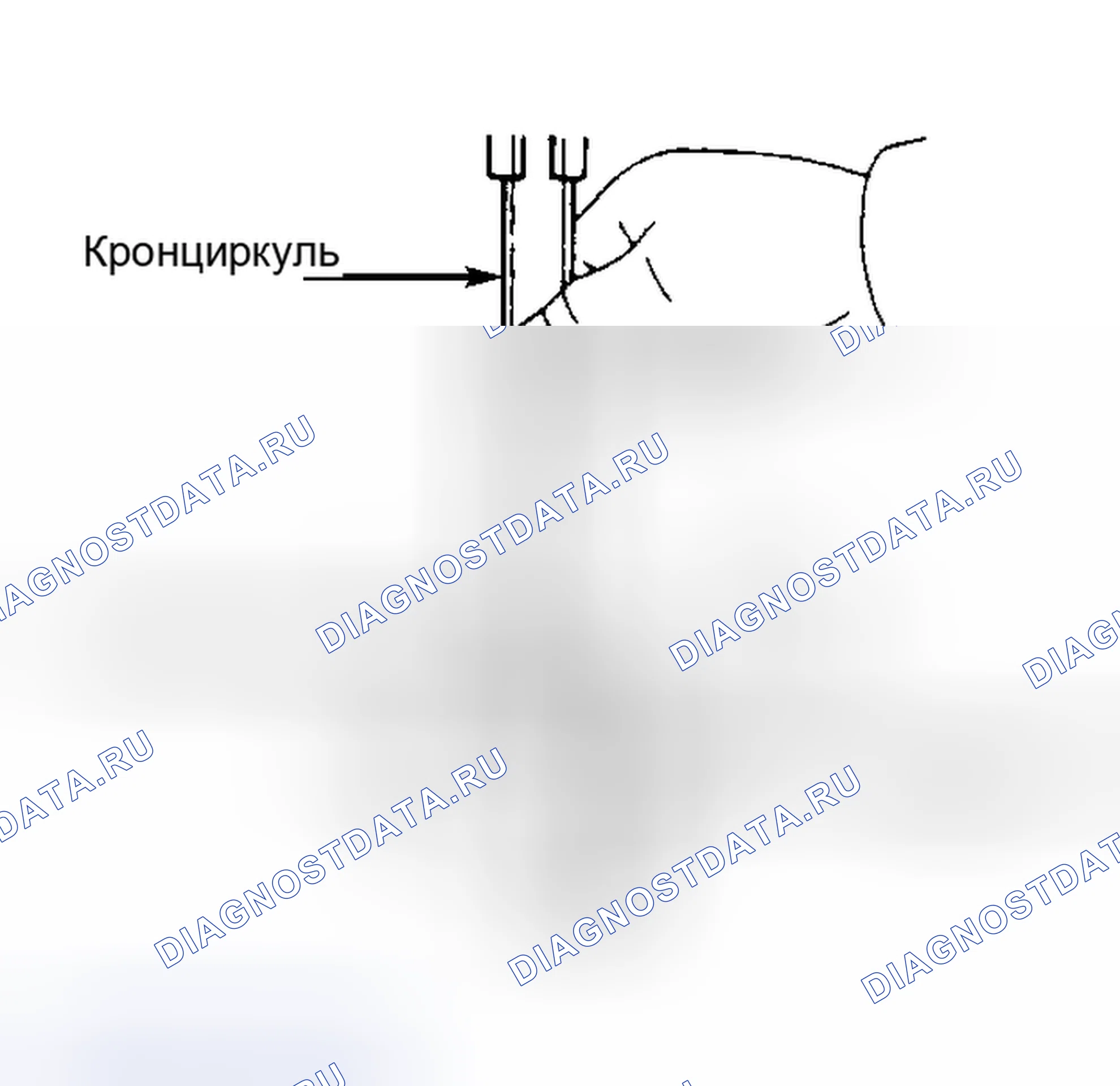 Рис. 19. Haval H9 I рестайлинг