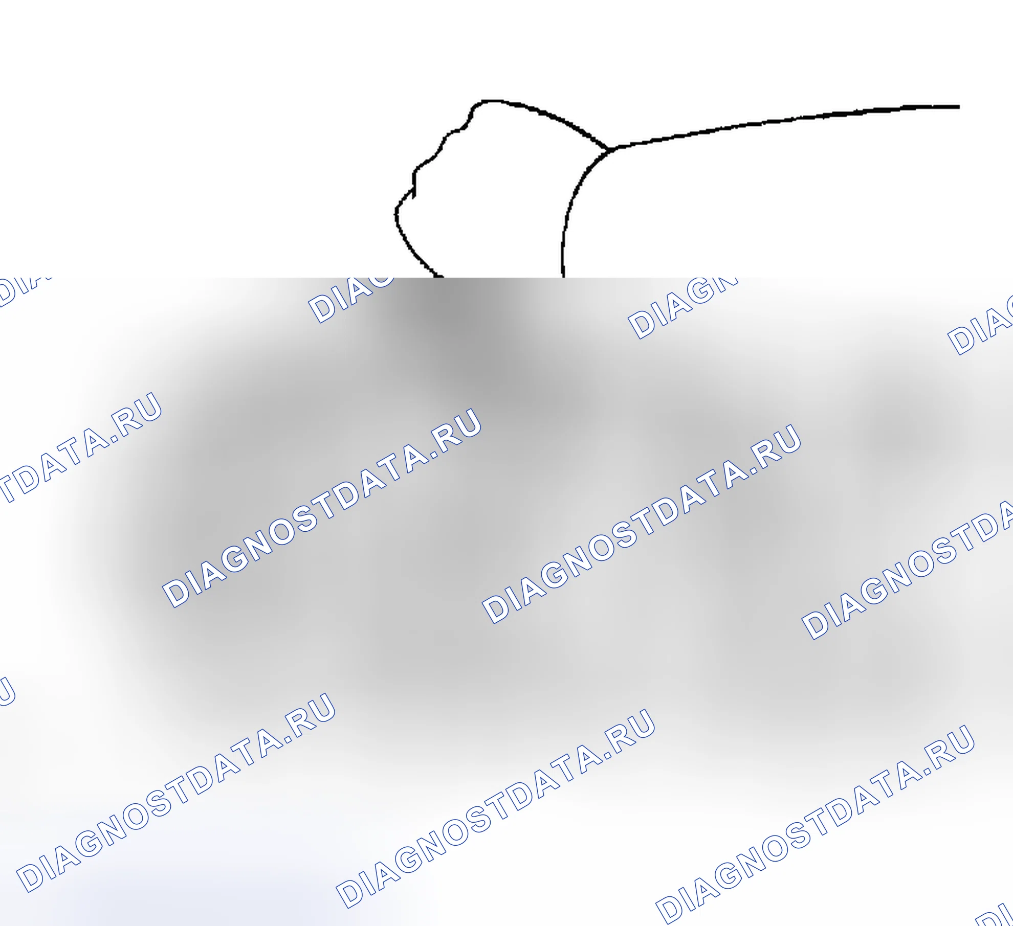 Рис. 250. Toyota RAV4 II