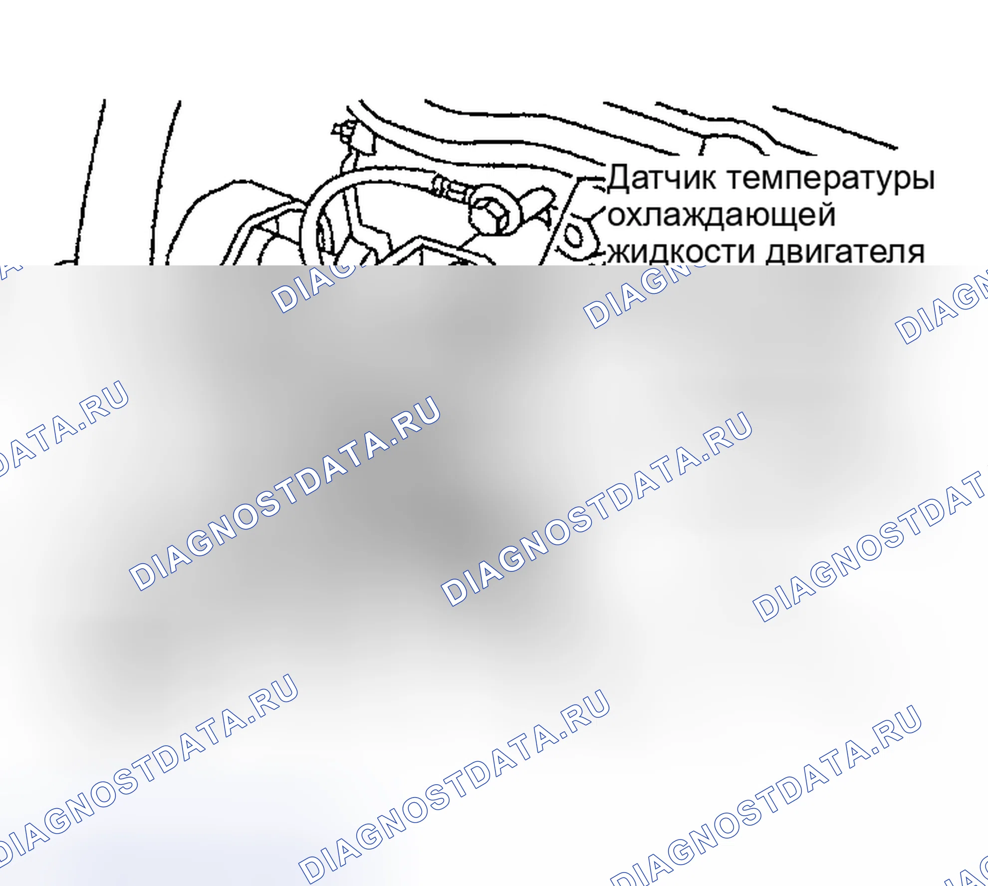Рис. 602. Nissan Sentra B15