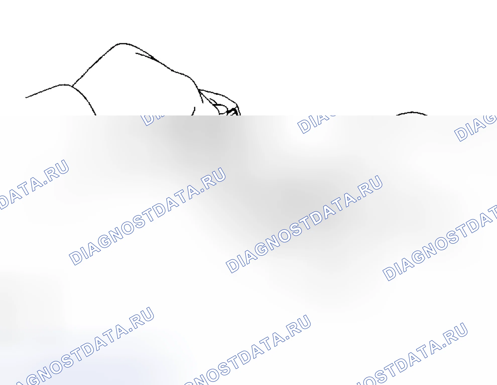 Рис. 404. Kia Sorento I