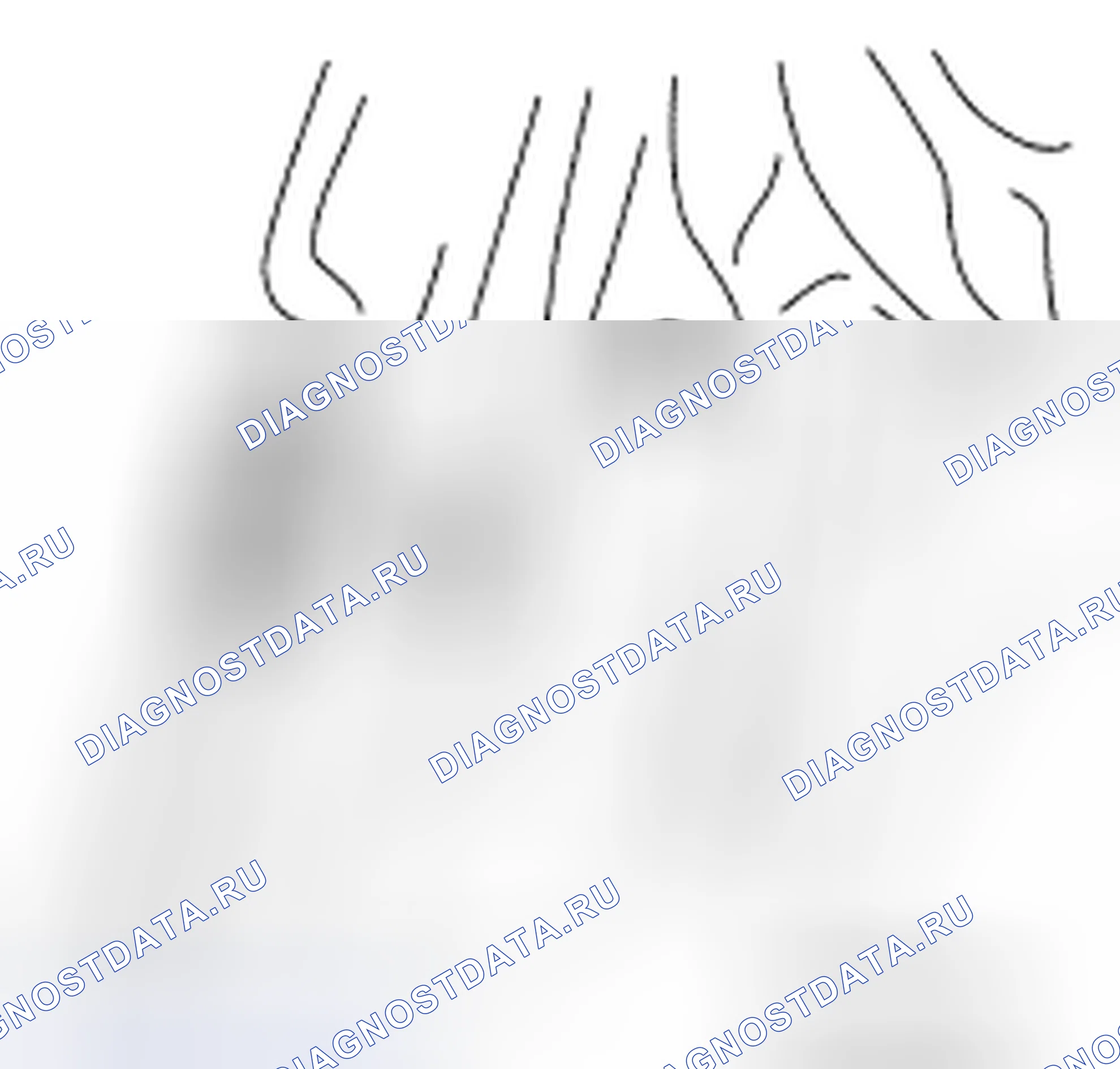 Рис. 43. Nissan Quest IV
