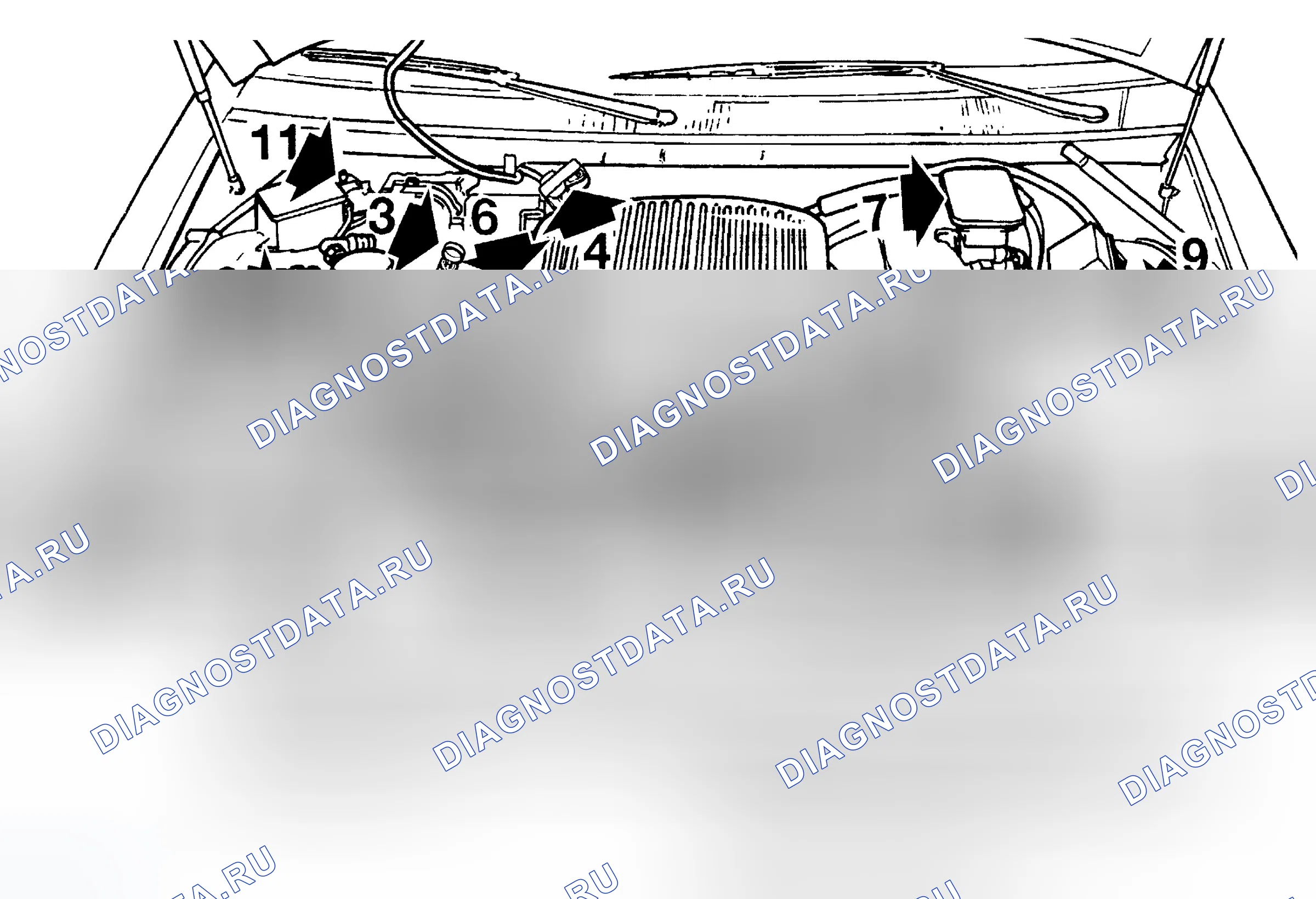 Рис. 9: РАСПОЛОЖЕНИЕ ТОЧЕК ОБСЛУЖИВАНИЯ. Chevrolet Caprice IV