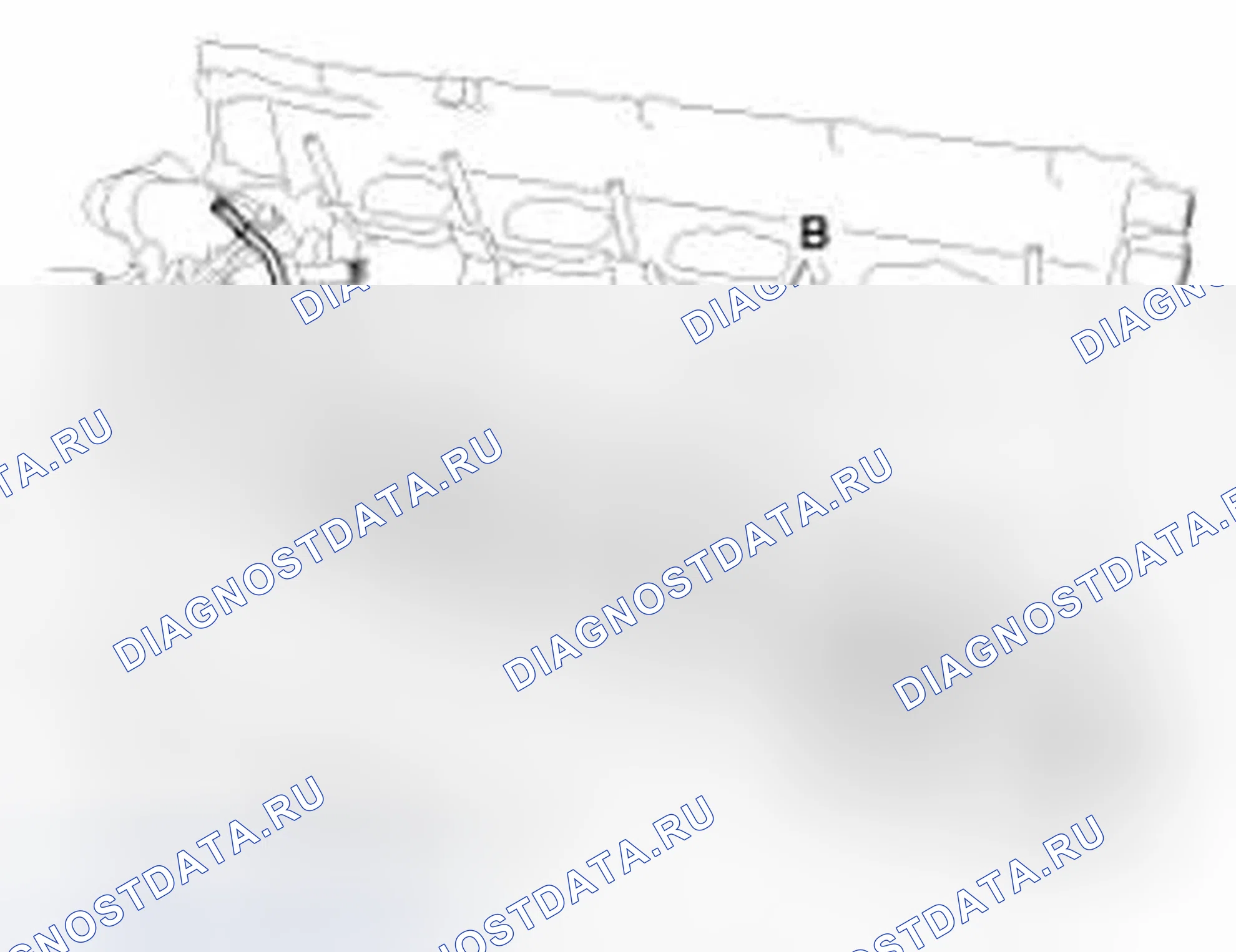 Рис. 229. Hyundai Equus II