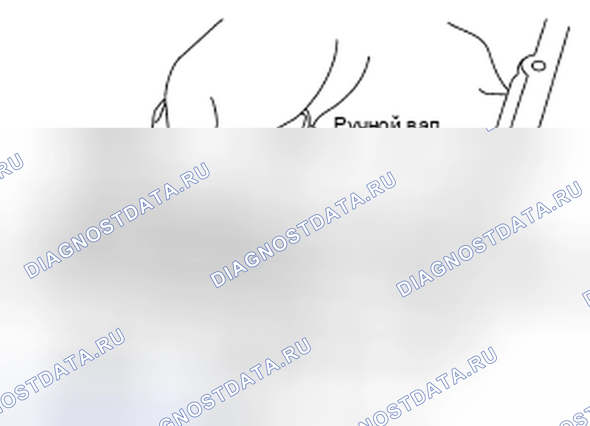 Рис. 273. Nissan 370Z I рестайлинг