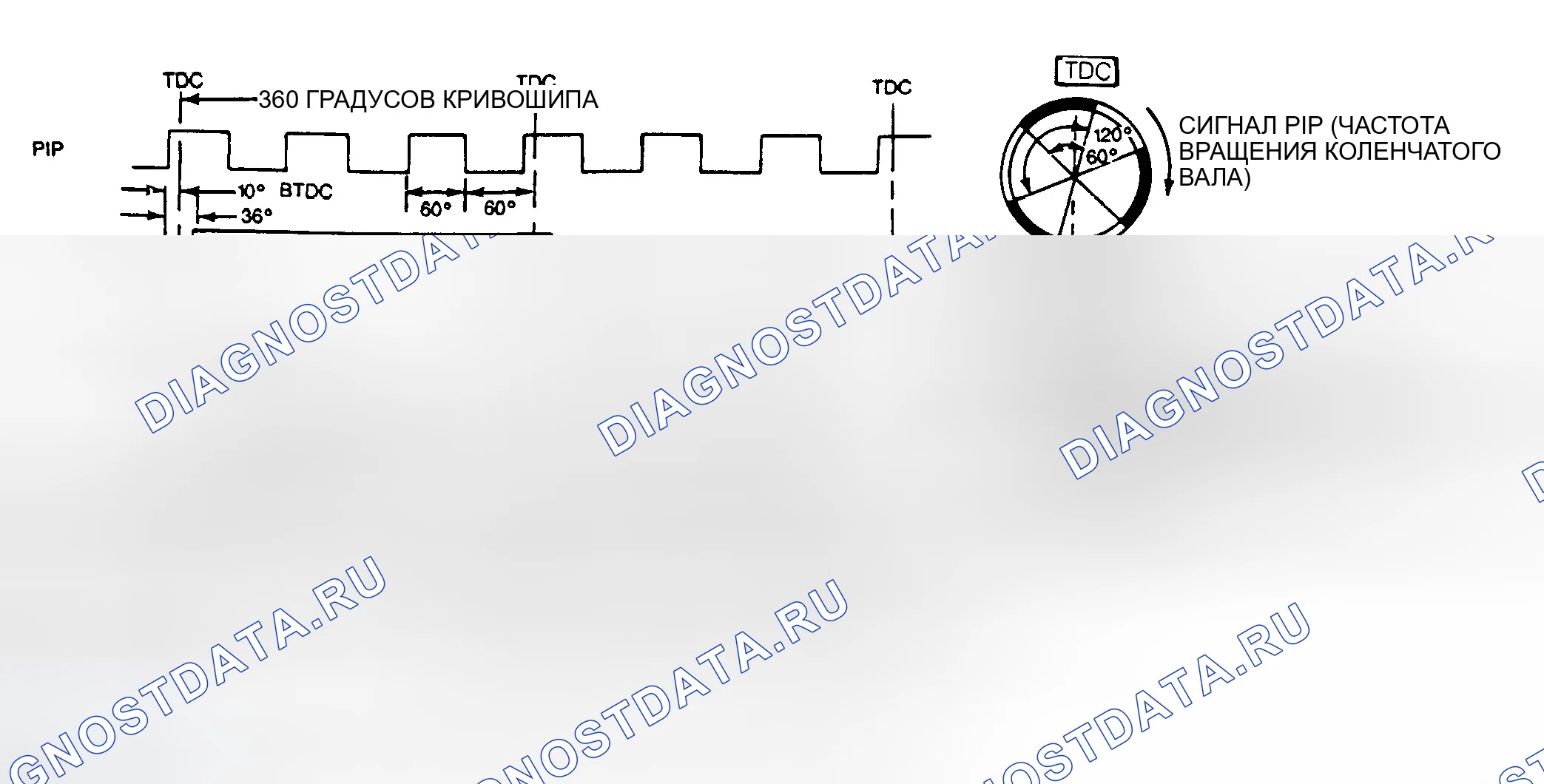 Рис. 166: Схема сигналов DIS (3.0L SHO и 3.8L SC). Ford Thunderbird X