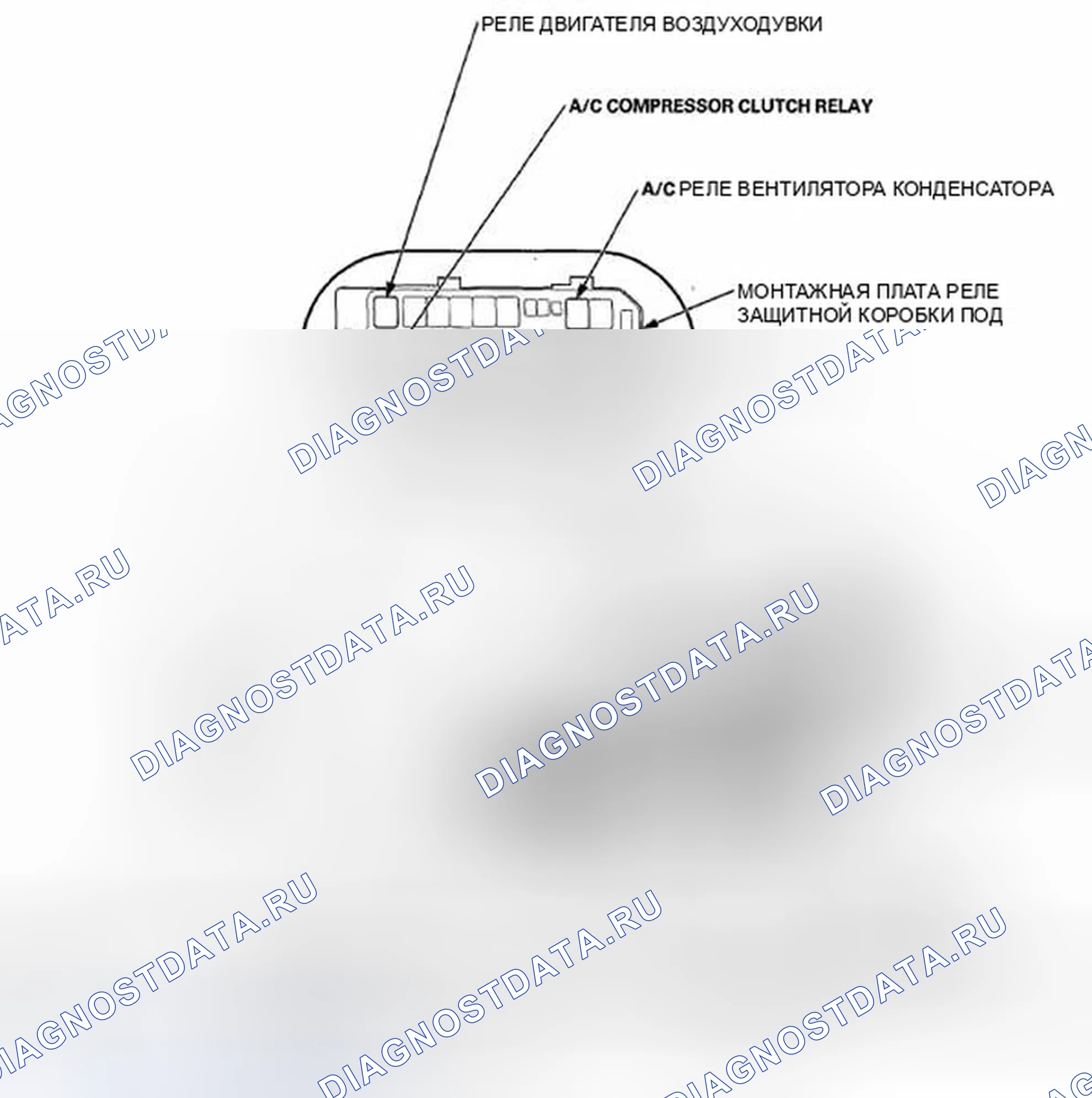 Рис. 2. Honda Crosstour I