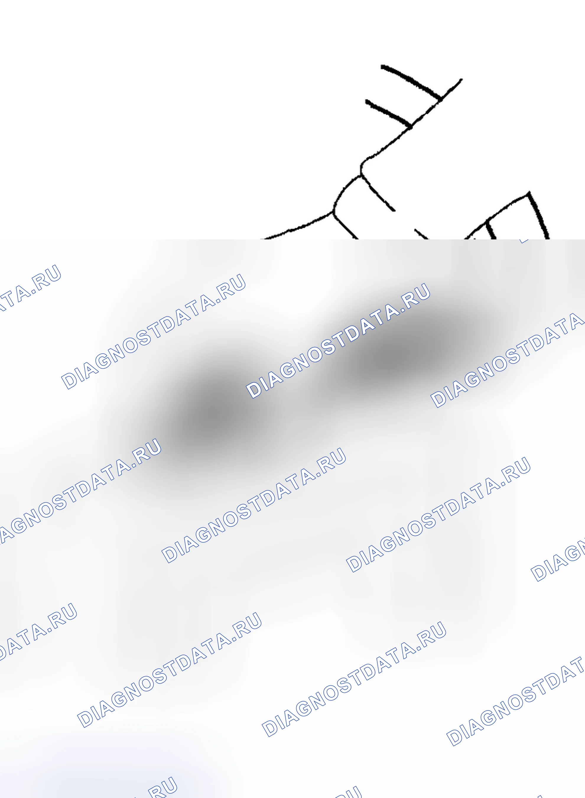 Рис. 36. Haval Chitu I