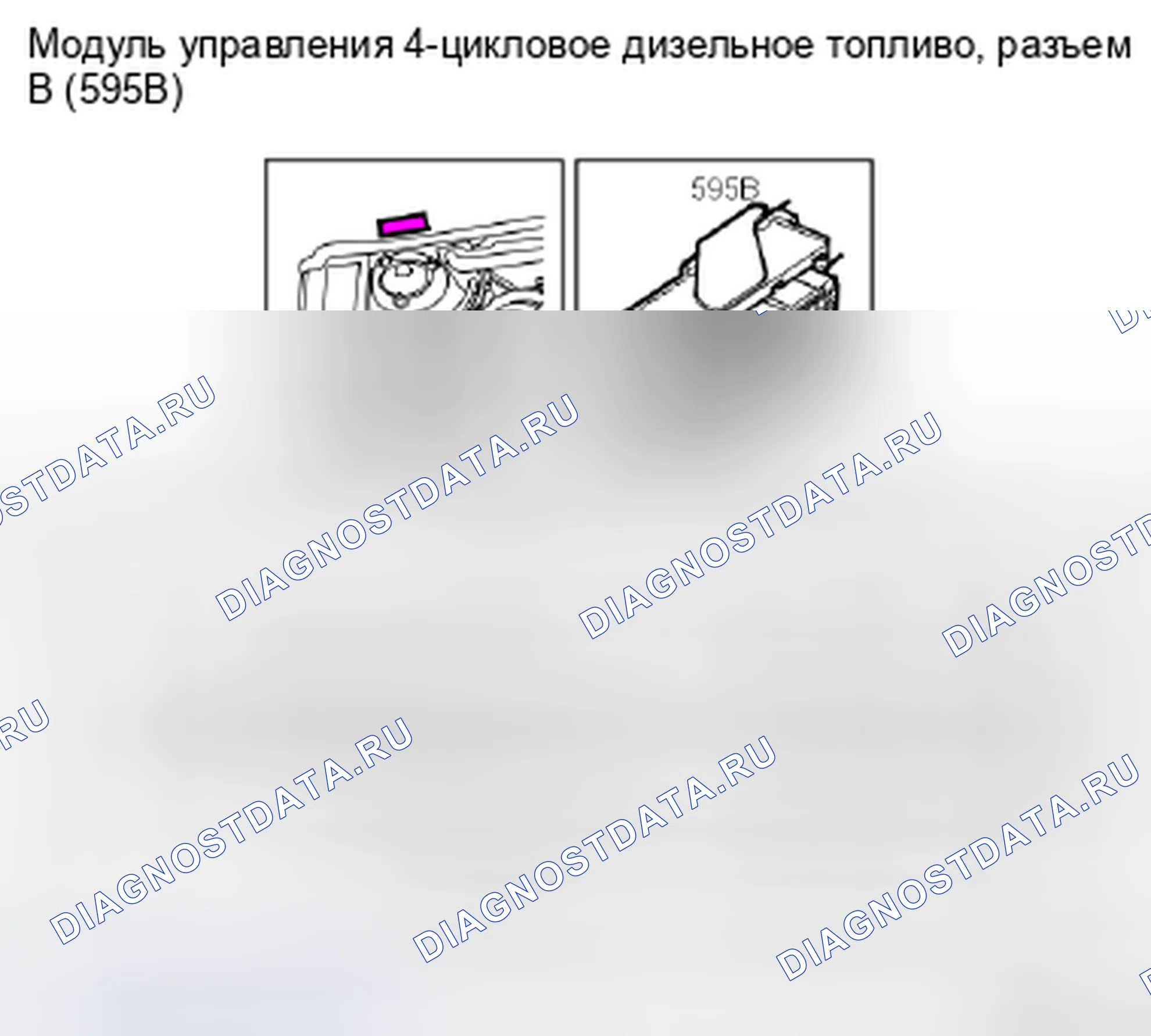Рис. 148: Модуль управления, дизельное топливо 4-цил., разъем B (595B). Kia Picanto III