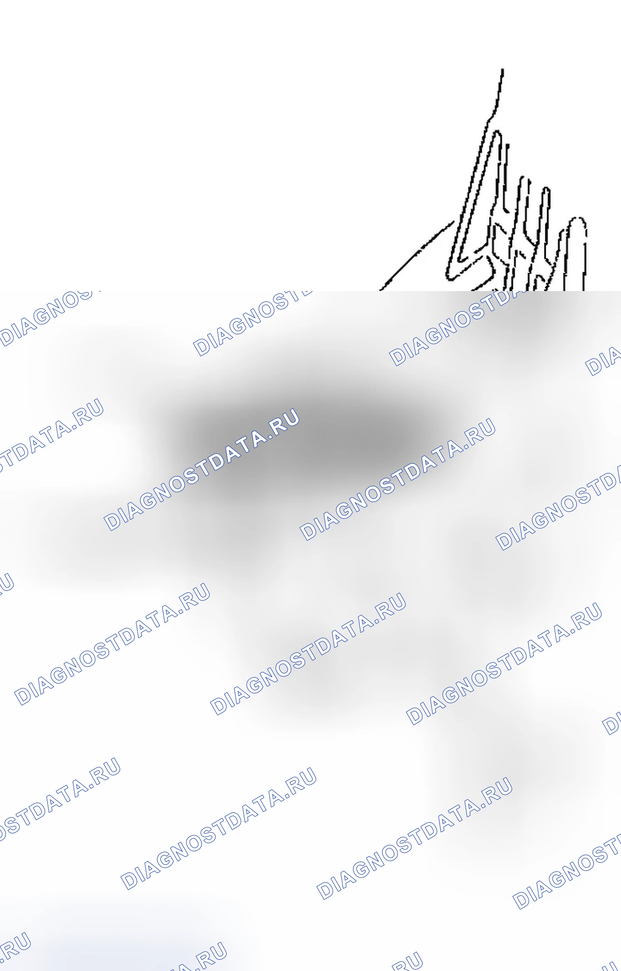 Рис. 12. Honda Element YH2