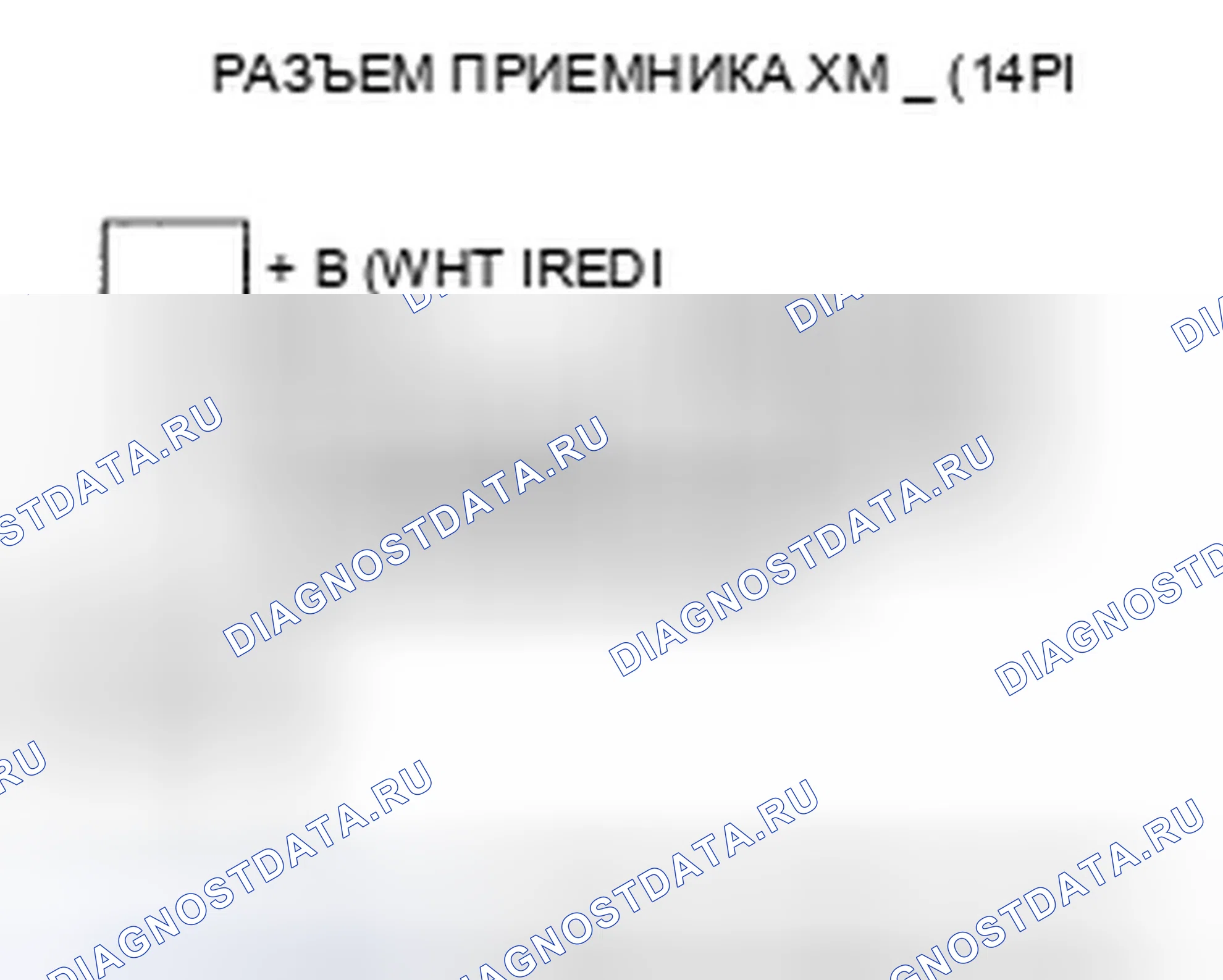 Рис. 131: Память радиоприемника Xm потеряна. Honda Element YH2 рестайлинг 2
