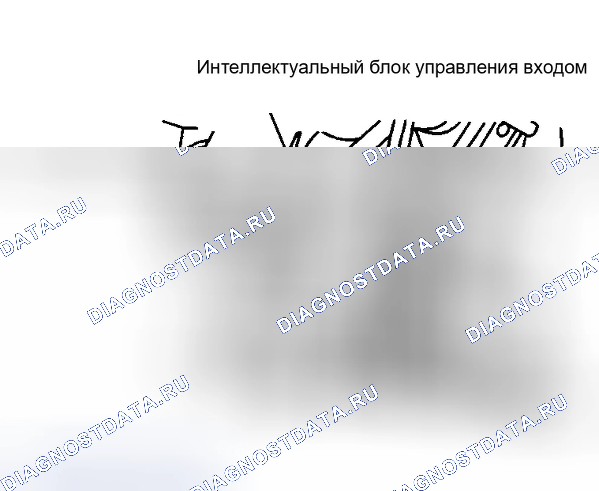 Рис. 2. Infiniti I35 II
