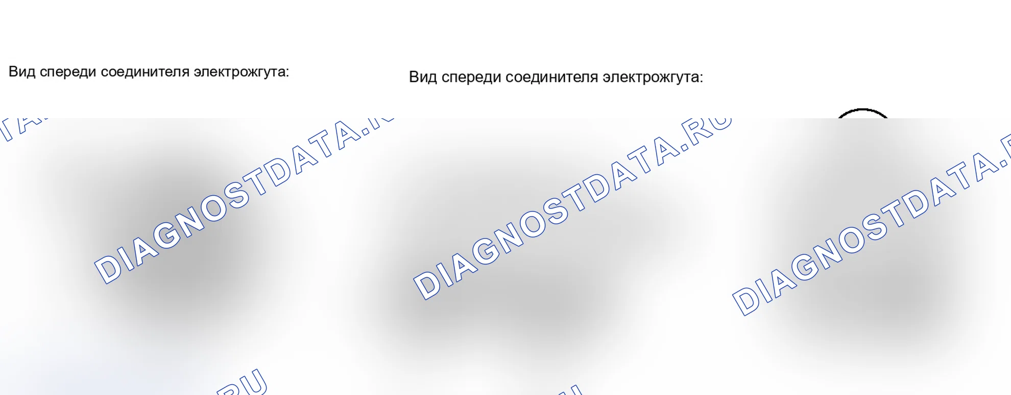 Рис. 98. Lexus IS F I