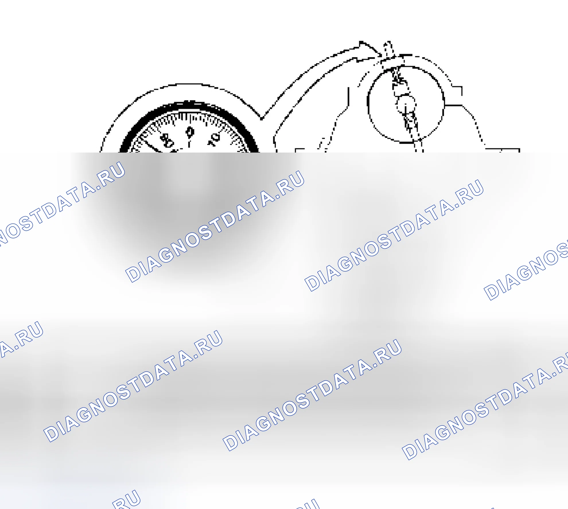 Рис. 125. Isuzu Axiom I