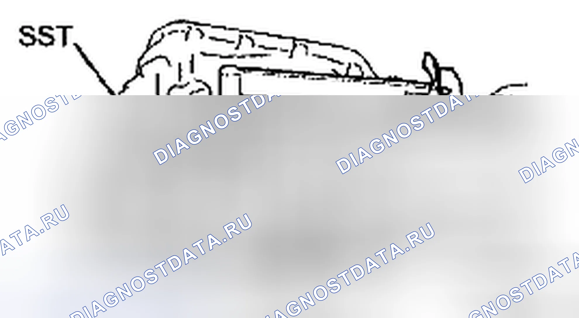 Рис. 253. Toyota Yaris II