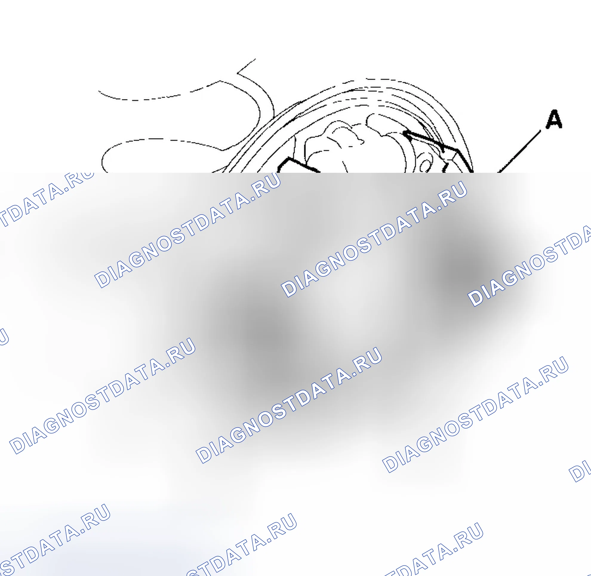 Рис. 109. Honda Insight ZE1