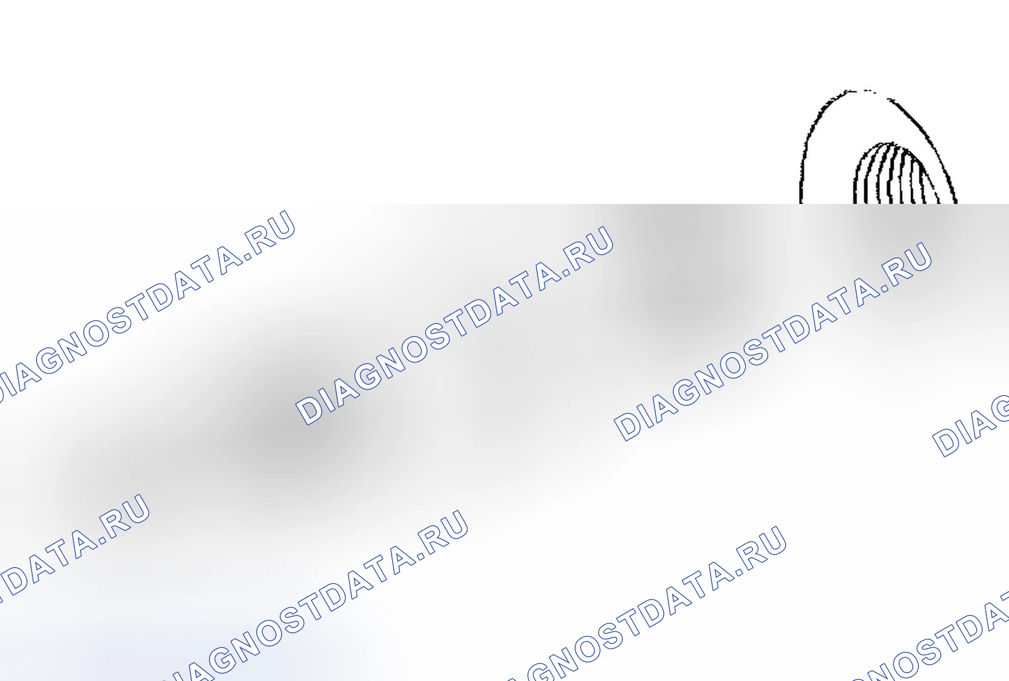 Рис. 242. Chevrolet TrailBlazer I