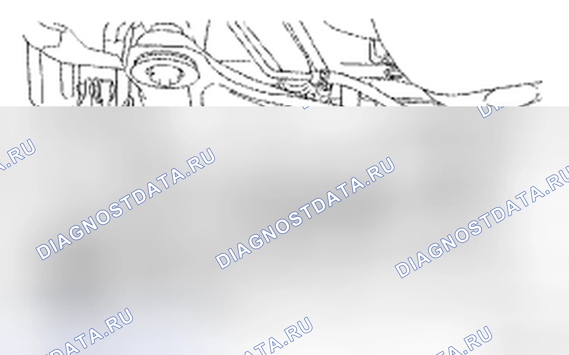 Рис. 248. Toyota Camry XV40