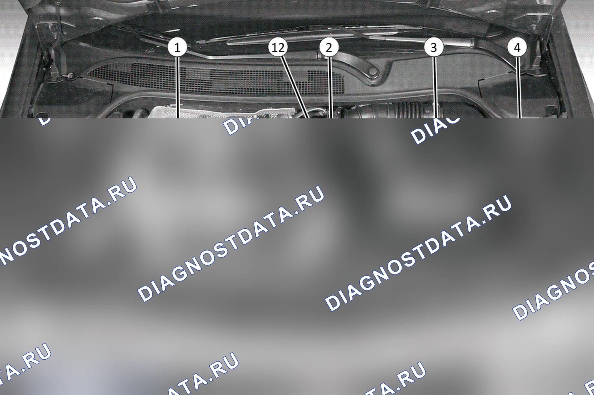 Система впрыска топлива в сборе: расположение элементов — вариант 2. Renault Megane II