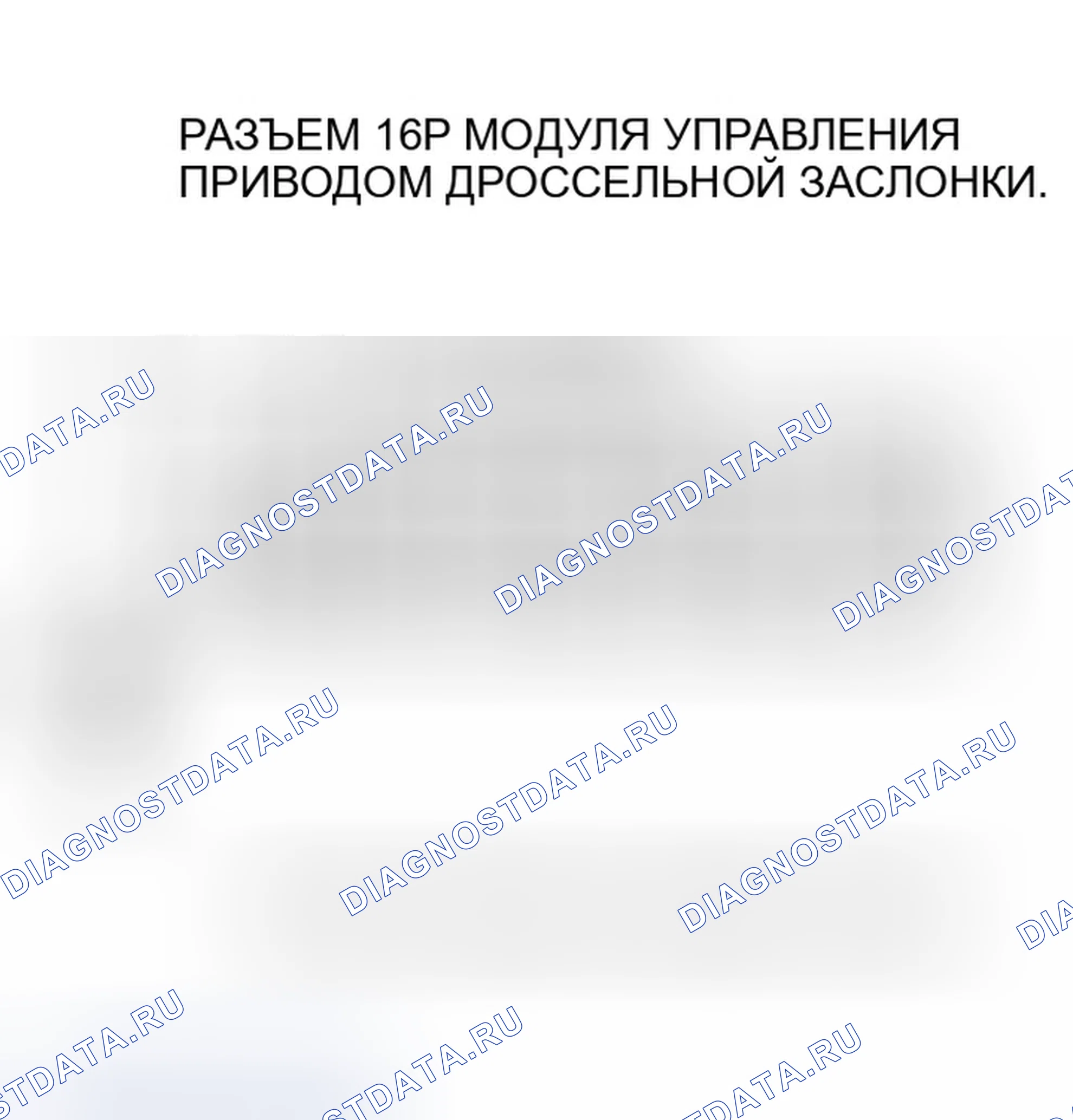 Рис. 417. Honda Accord VII рестайлинг